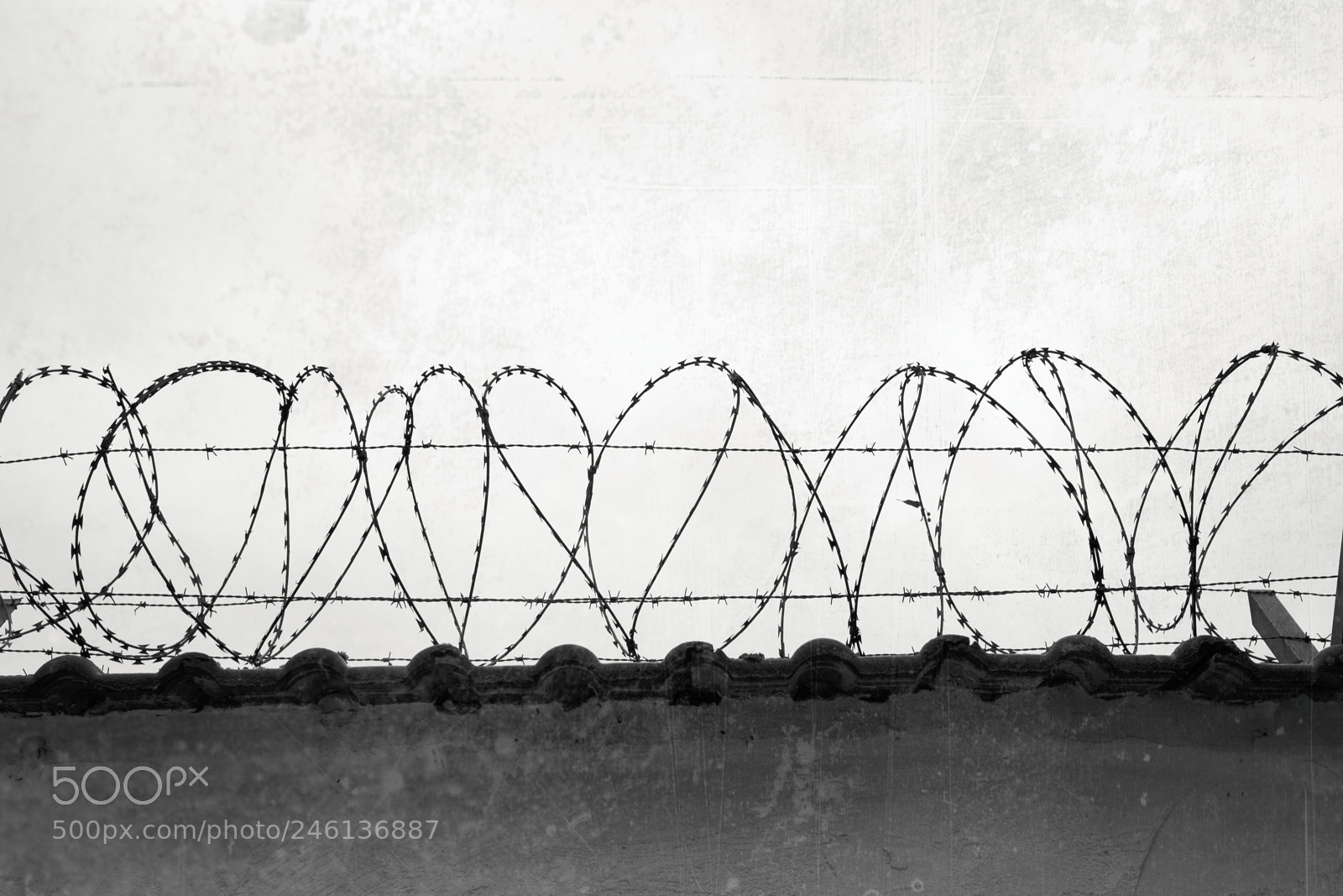 Sony a7 II sample photo. Barbed wire on the photography