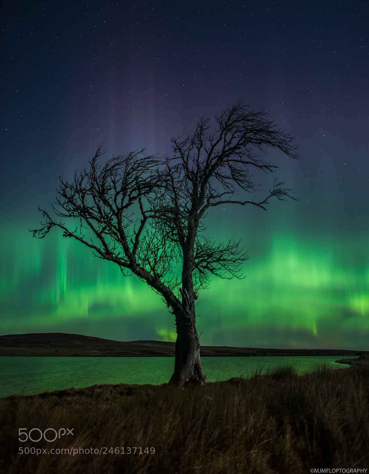 Nikon D810 sample photo. Aurora over lochindorb photography