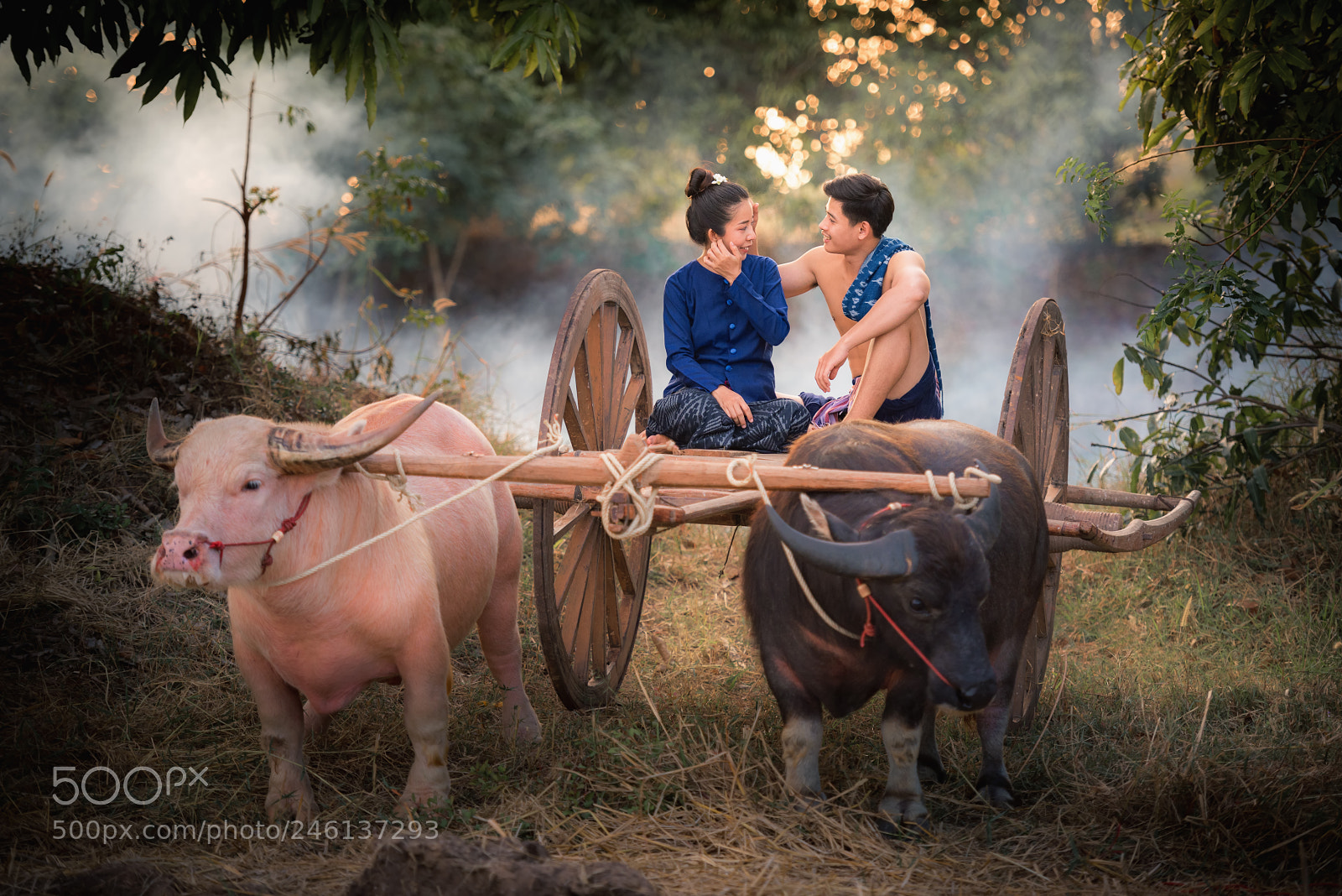 Nikon D810 sample photo. Soulmate photography