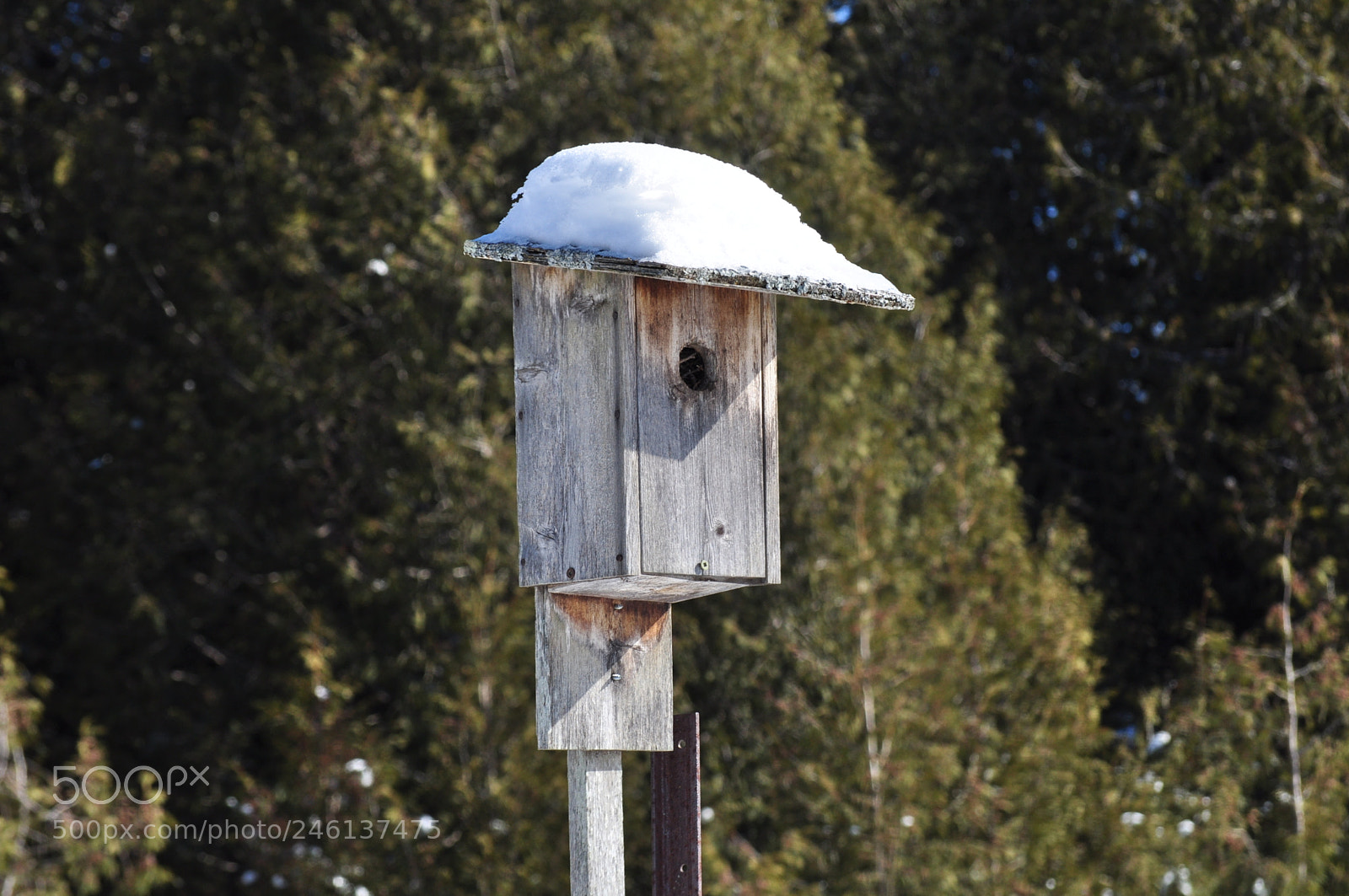 Nikon D5000 sample photo. Home sweet home photography