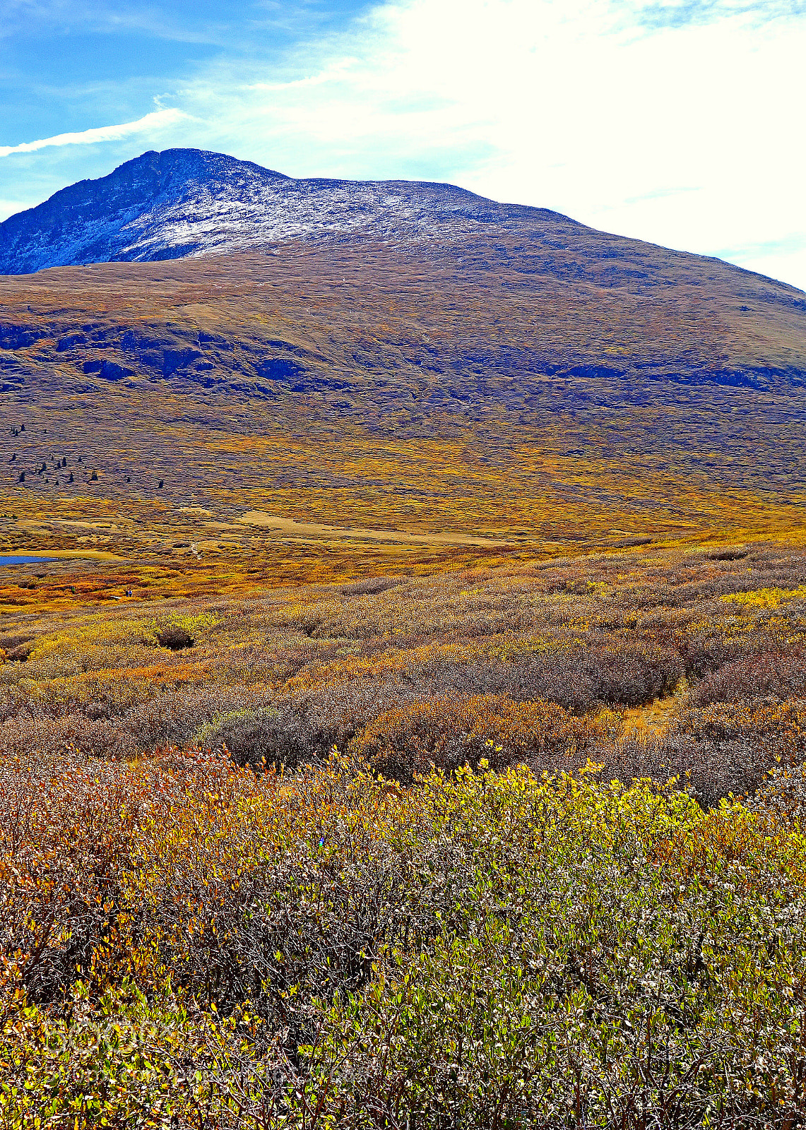 Sony Cyber-shot DSC-RX100 sample photo. Mount bierstadt in autumn photography