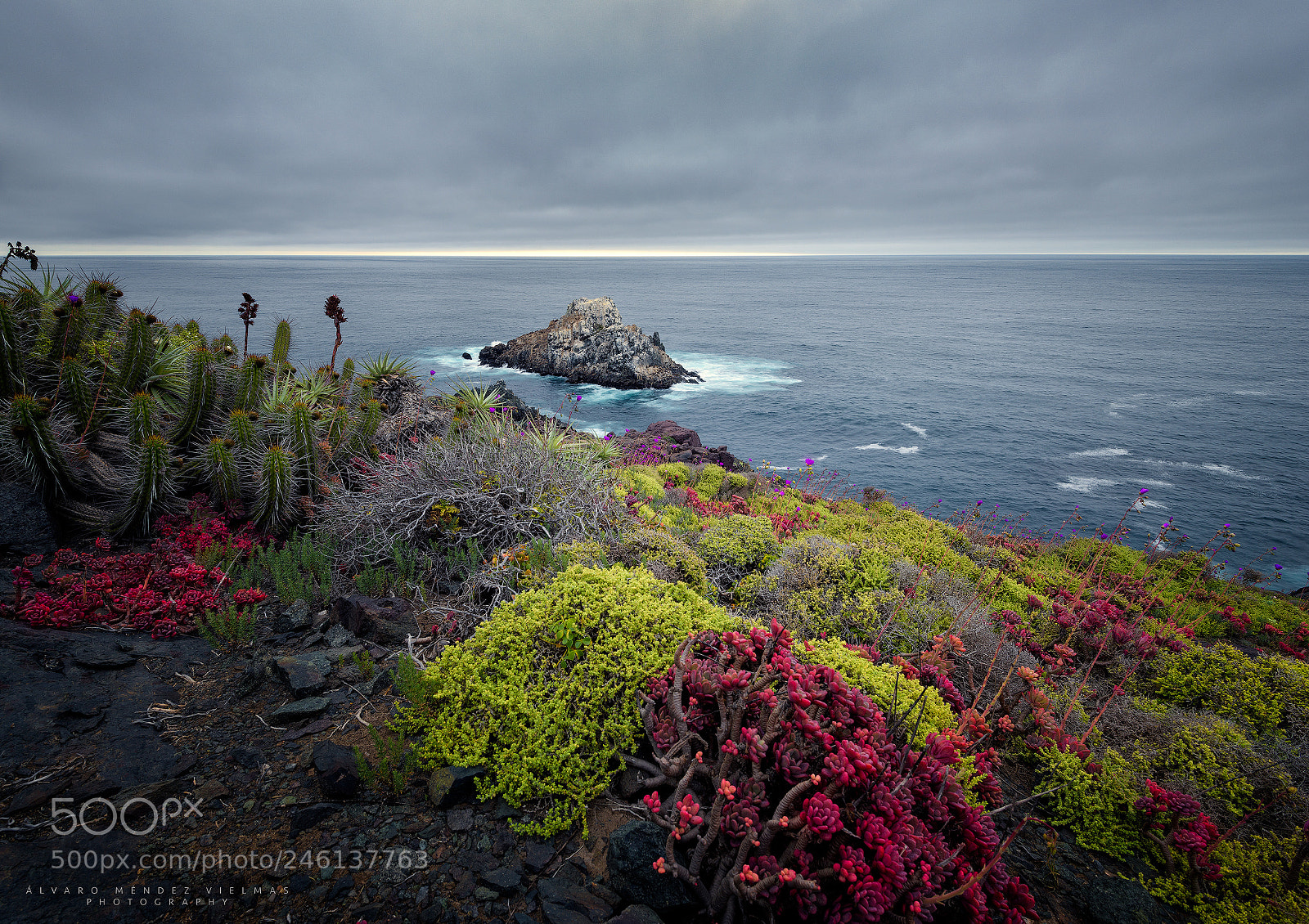 Nikon D810 sample photo. Colors on a cloudy photography