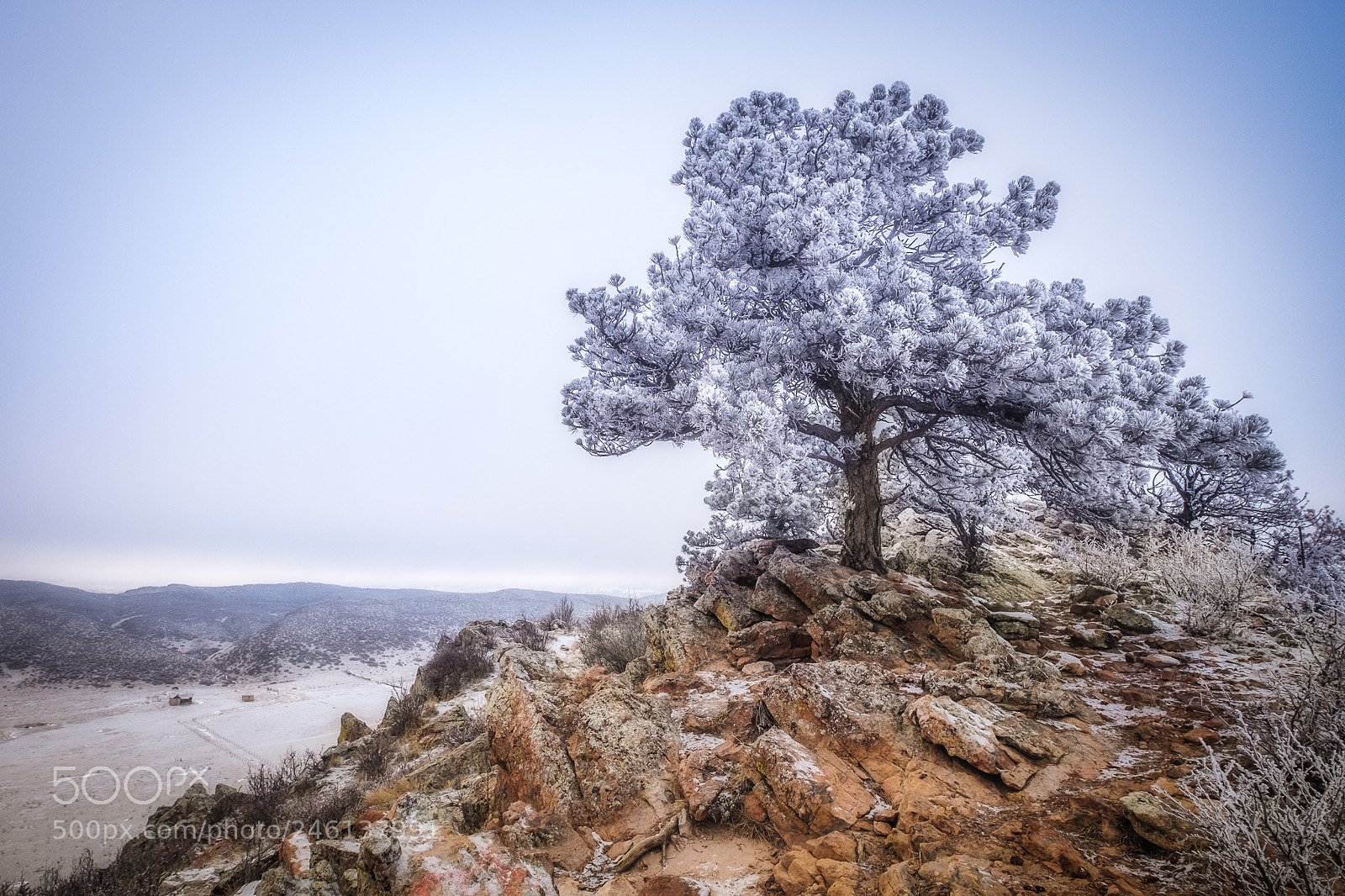 Fujifilm X-T1 sample photo. Frozen photography