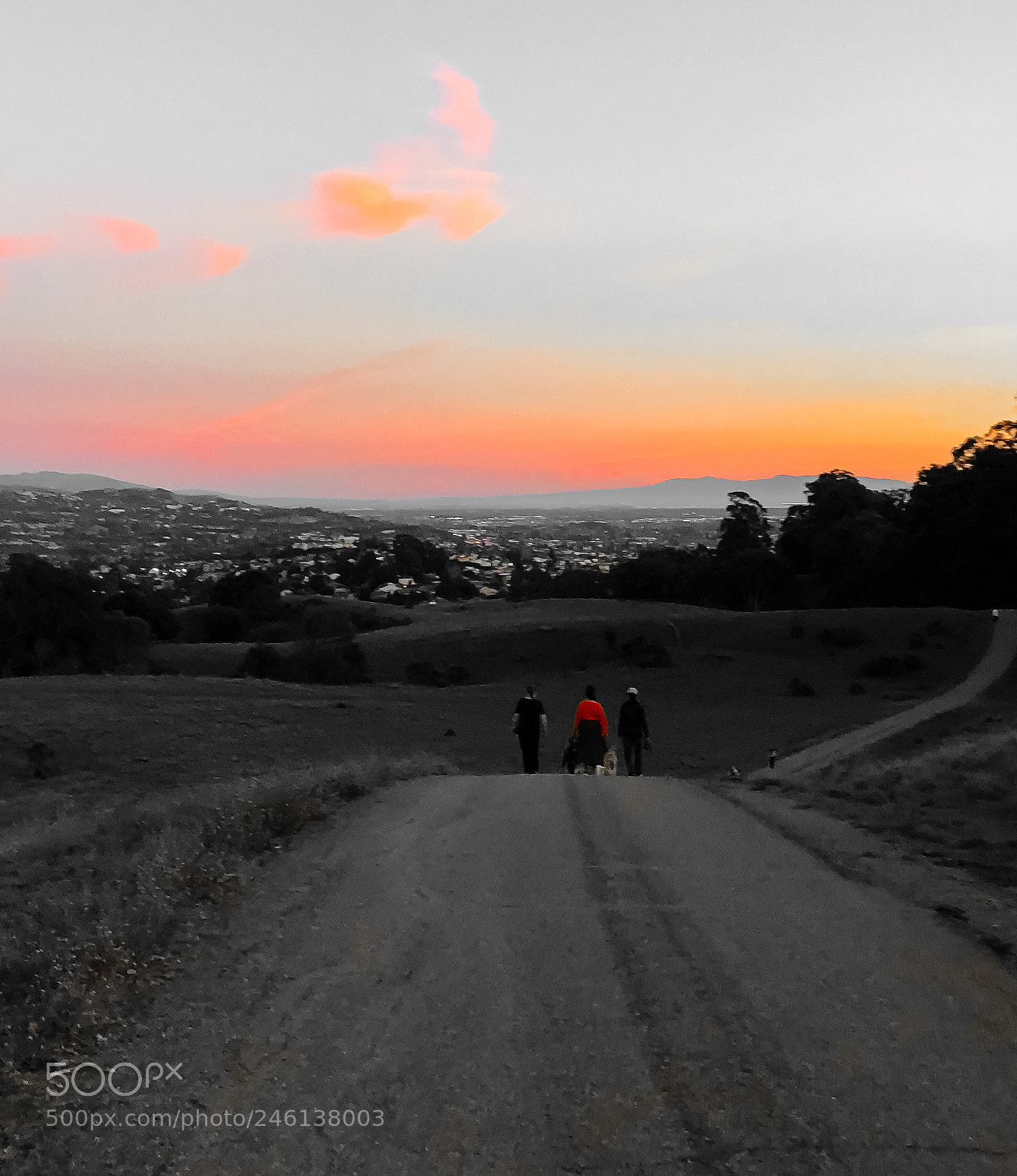 Apple iPhone 8 Plus sample photo. Evening stroll photography