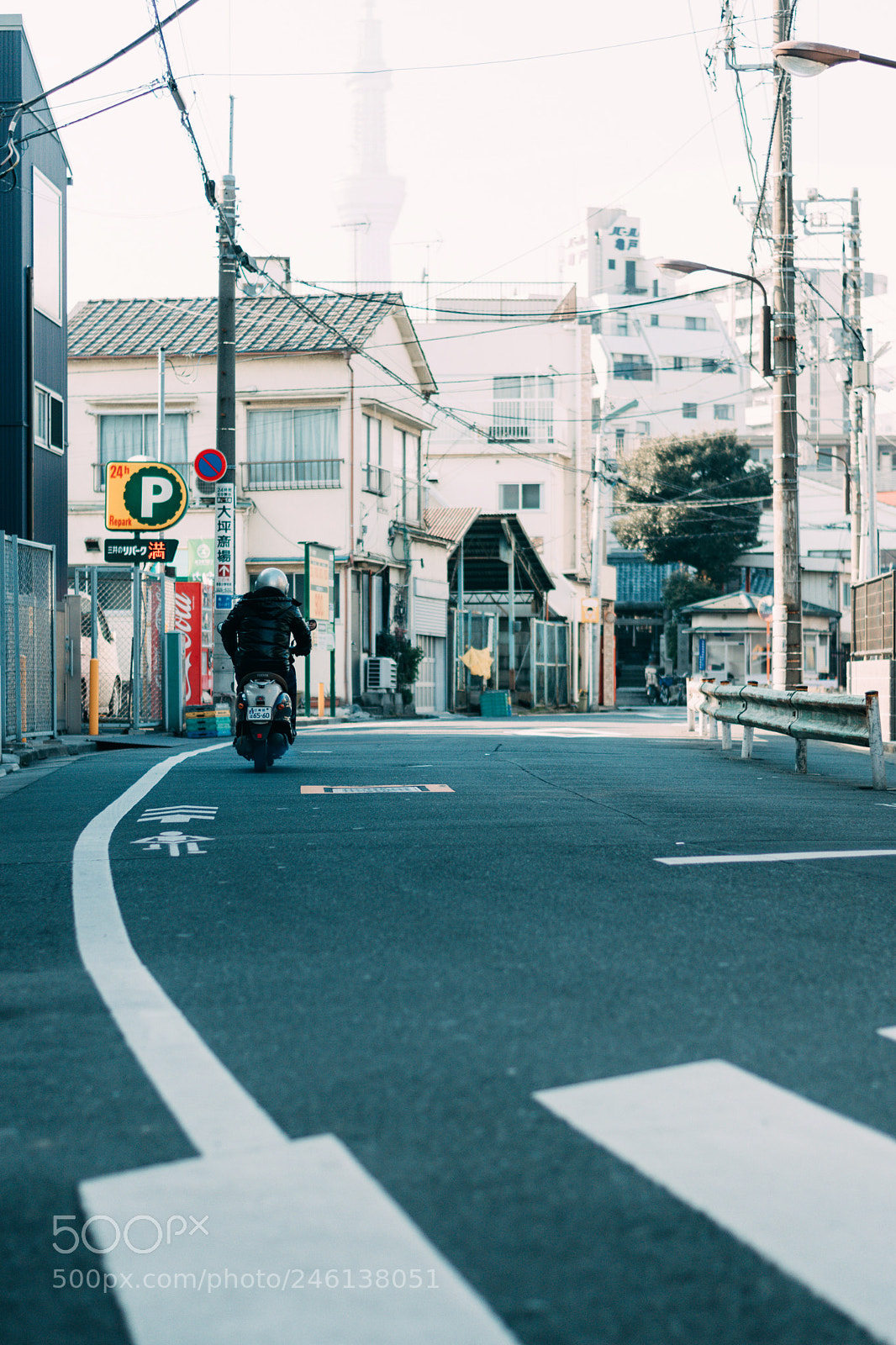 Nikon D5500 sample photo. Untitled photography