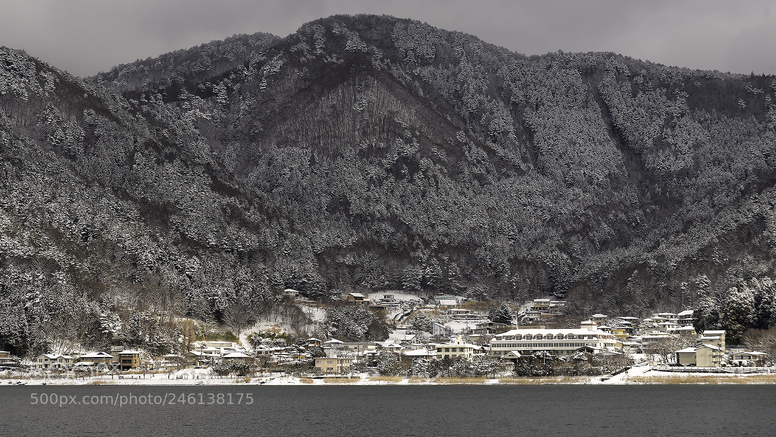 Nikon D610 sample photo. Japan winter photography