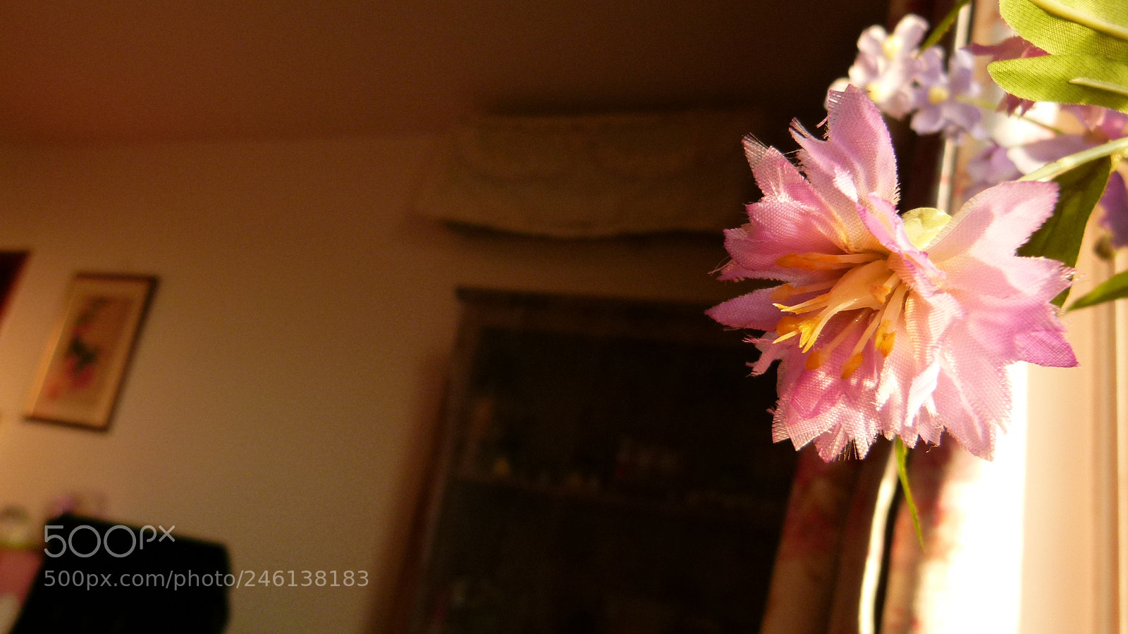Leica V-Lux 2 sample photo. Untitled photography