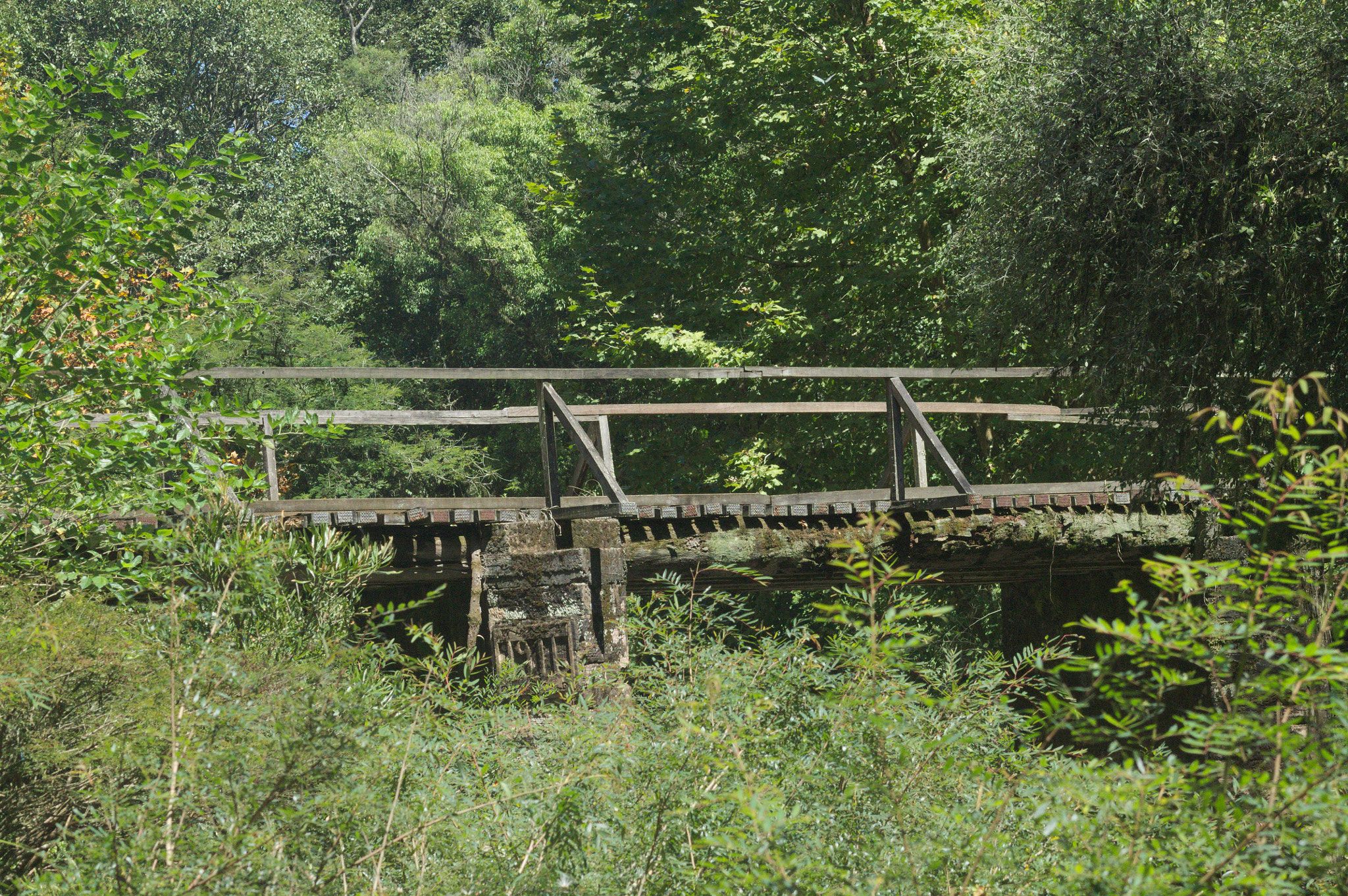 Canon EOS 1100D (EOS Rebel T3 / EOS Kiss X50) + EF75-300mm f/4-5.6 sample photo. "wood bridge" photography