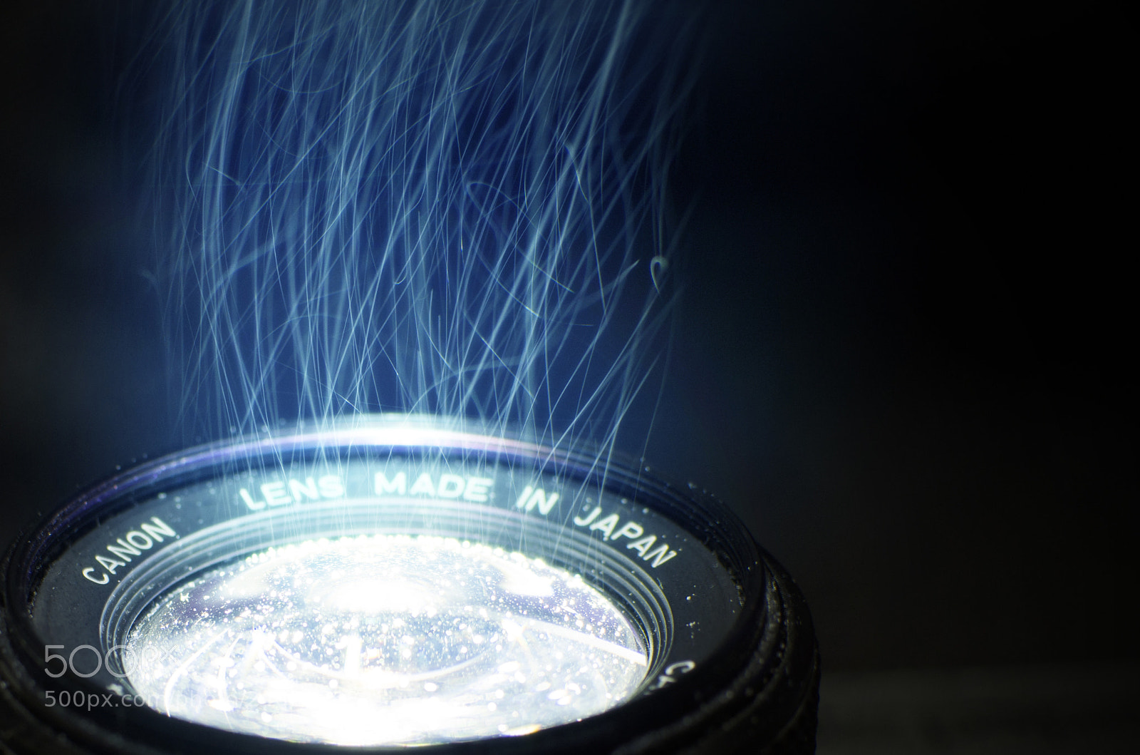 Nikon D5100 sample photo. Capturing the light photography