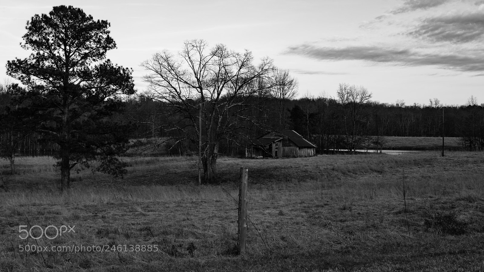 Nikon D5500 sample photo. B&w farmland photography