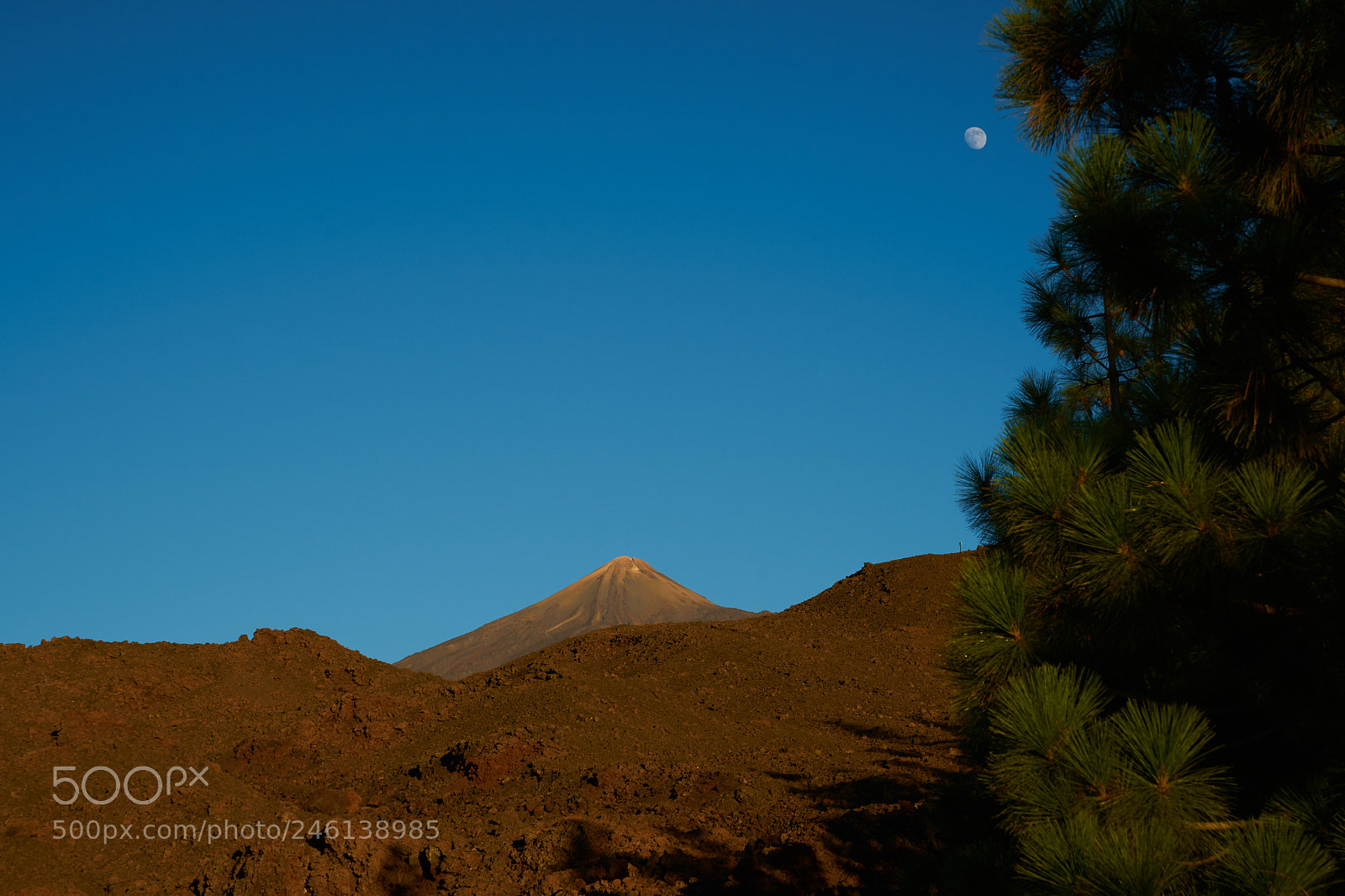 Sony Alpha DSLR-A900 sample photo. Canary islands photography