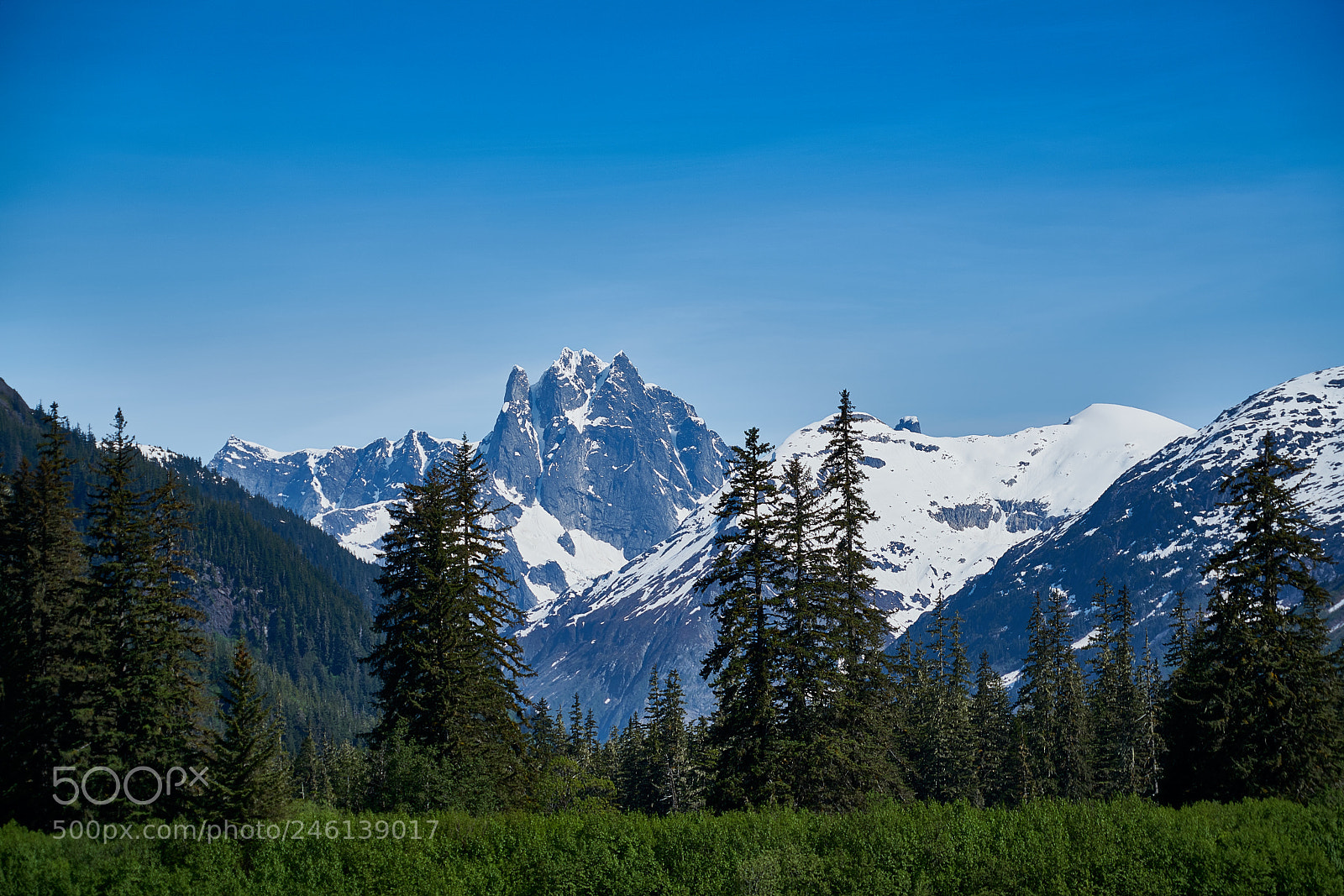 Sony a7R II sample photo. Alaska photography