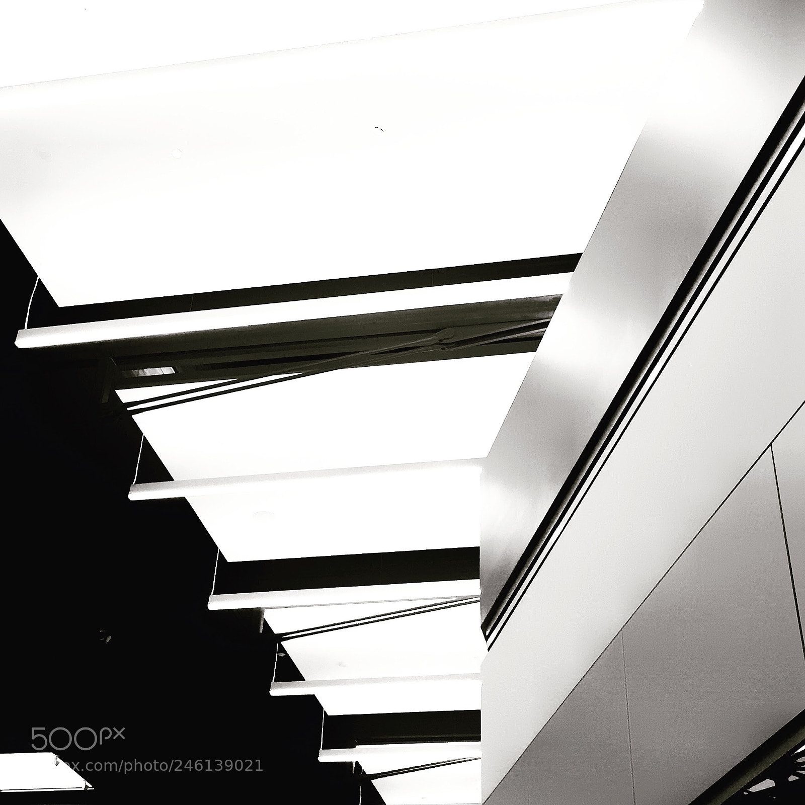 Apple iPhone 6 Plus sample photo. Lines photography