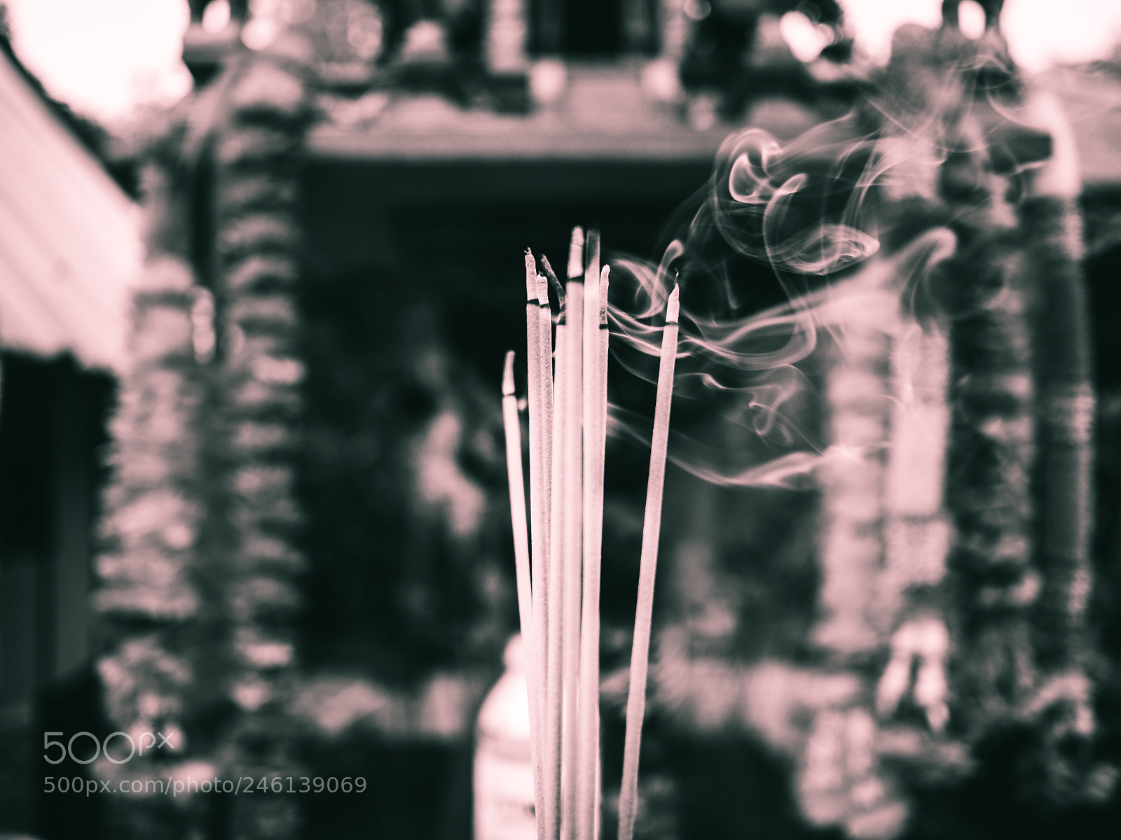 Olympus PEN-F sample photo. Untitled photography