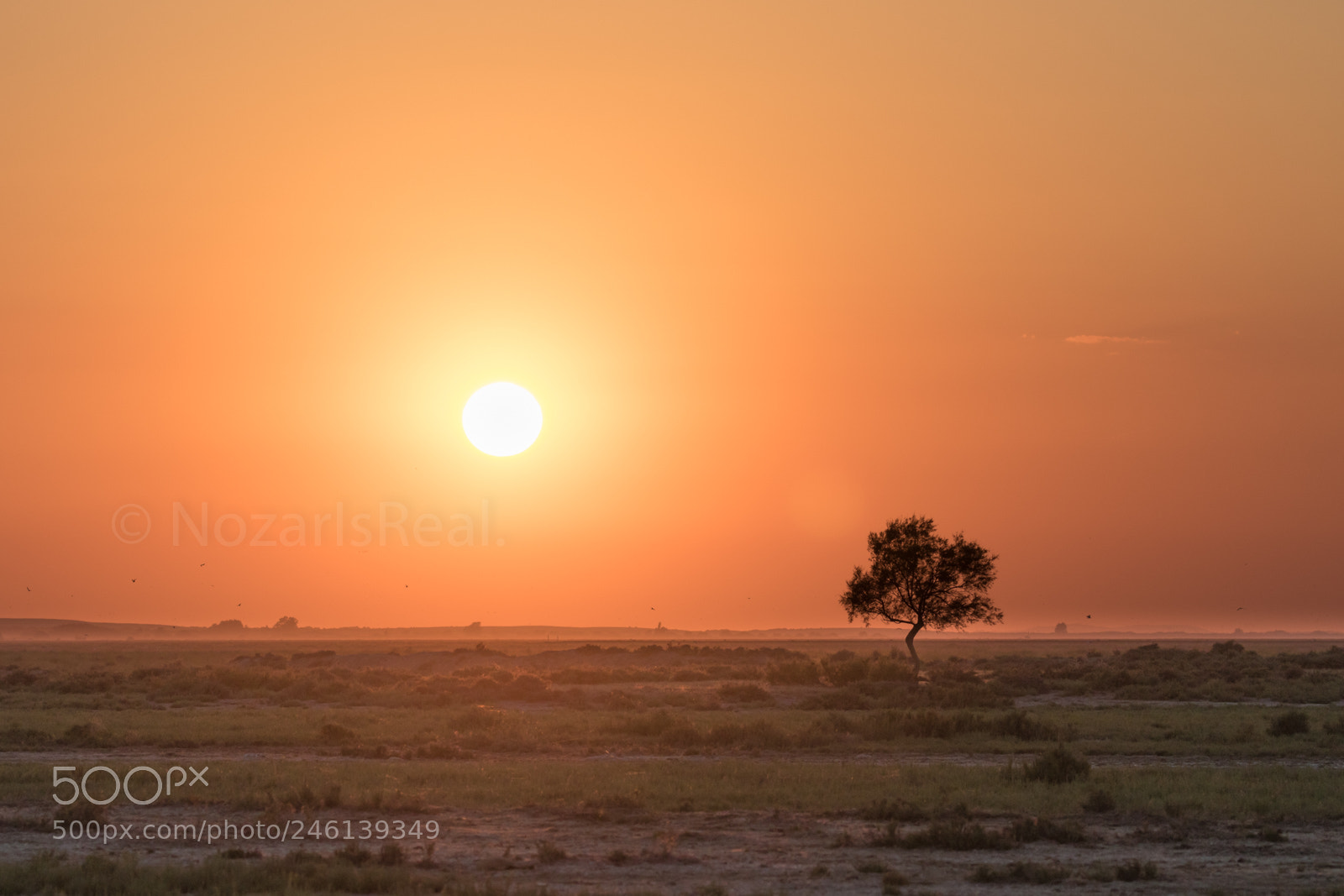 Canon EOS 7D Mark II sample photo. Sunset. spain. photography