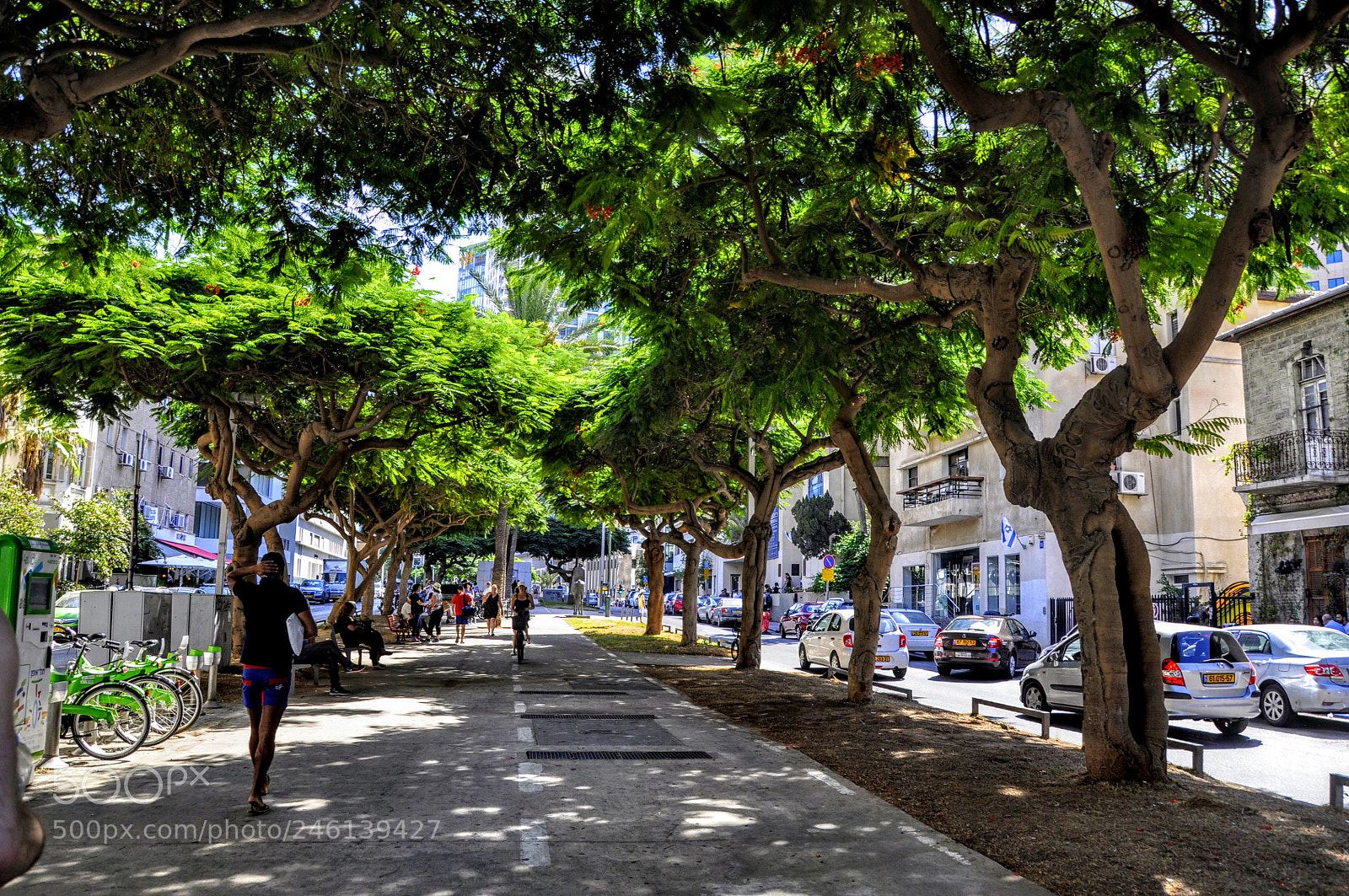 Nikon D5000 sample photo. Biking and walking and photography