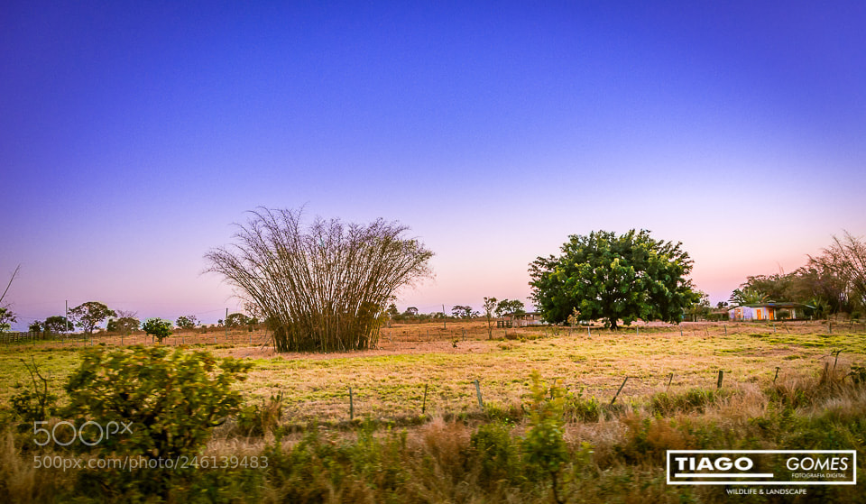 Nikon D7100 sample photo. Caminho da felicidade photography