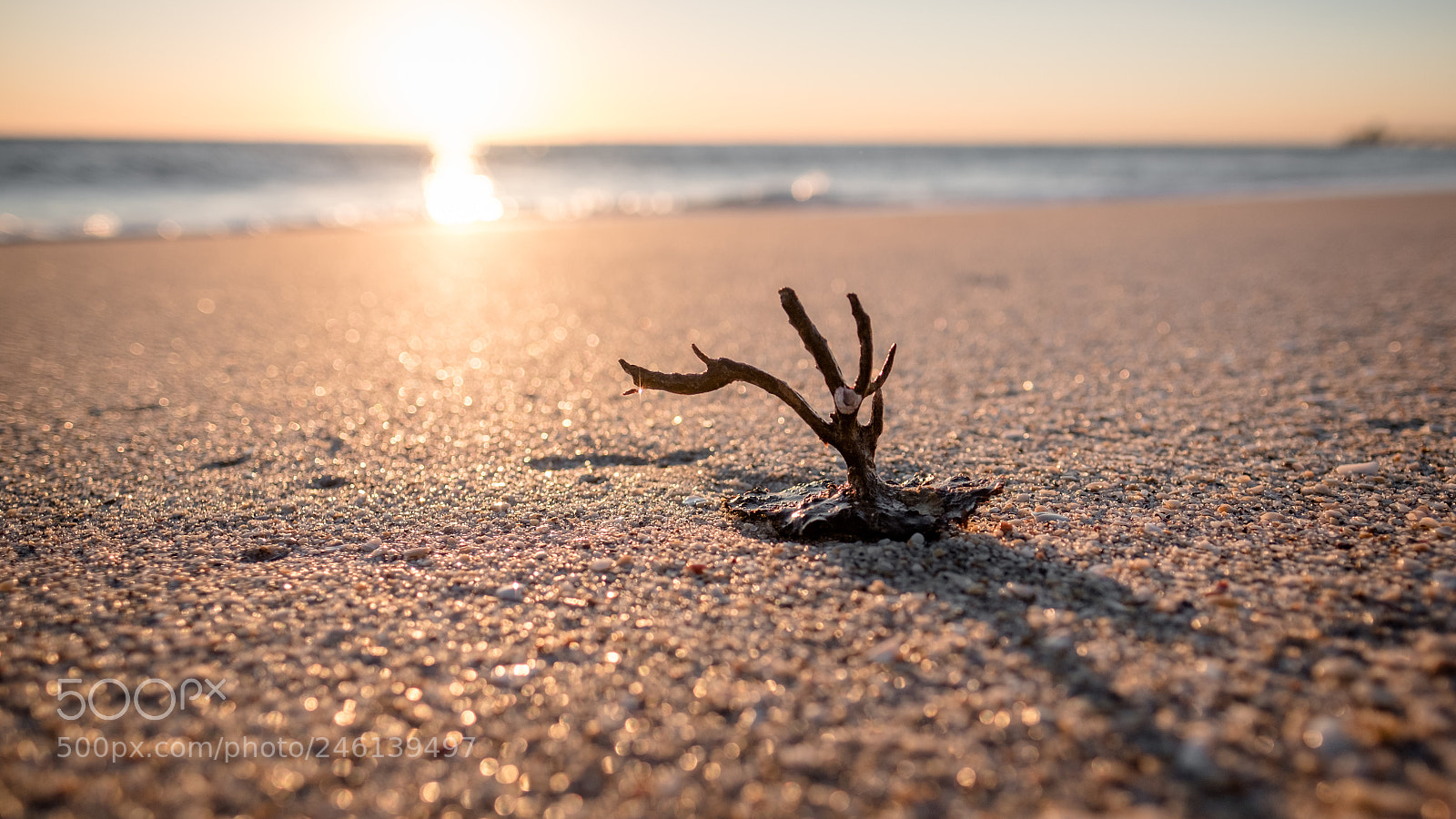 Fujifilm X-T2 sample photo. Sunrise after the storm photography