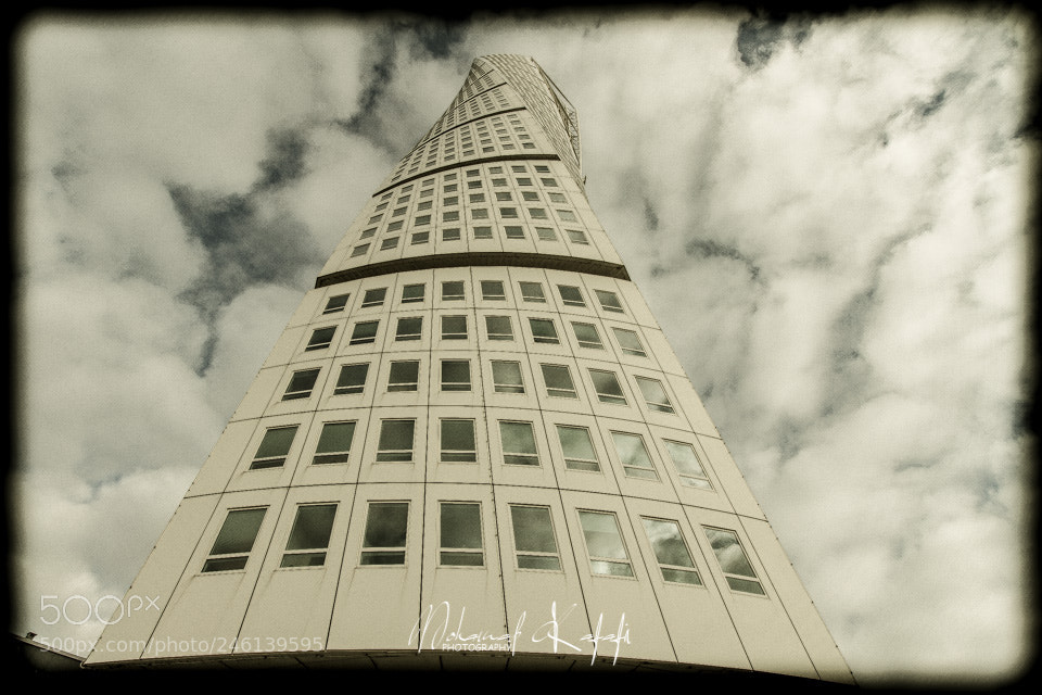 Canon EOS 7D sample photo. Untitled photography