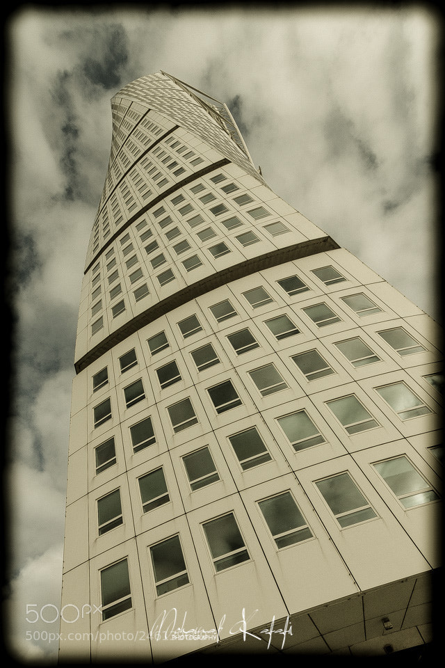 Canon EOS 7D sample photo. Untitled photography