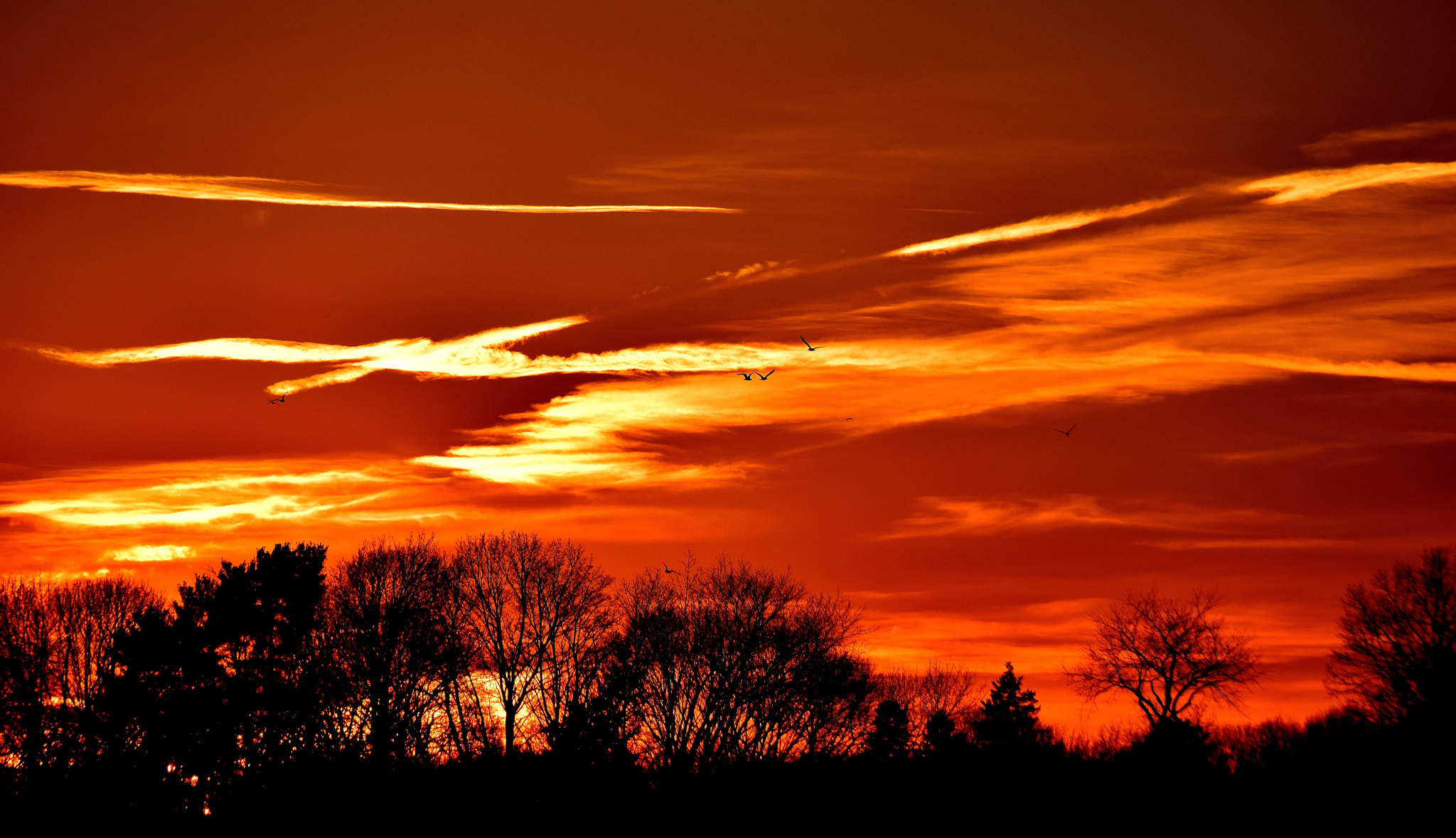 Sigma 18-250mm F3.5-6.3 DC Macro OS HSM sample photo. Winter fire photography