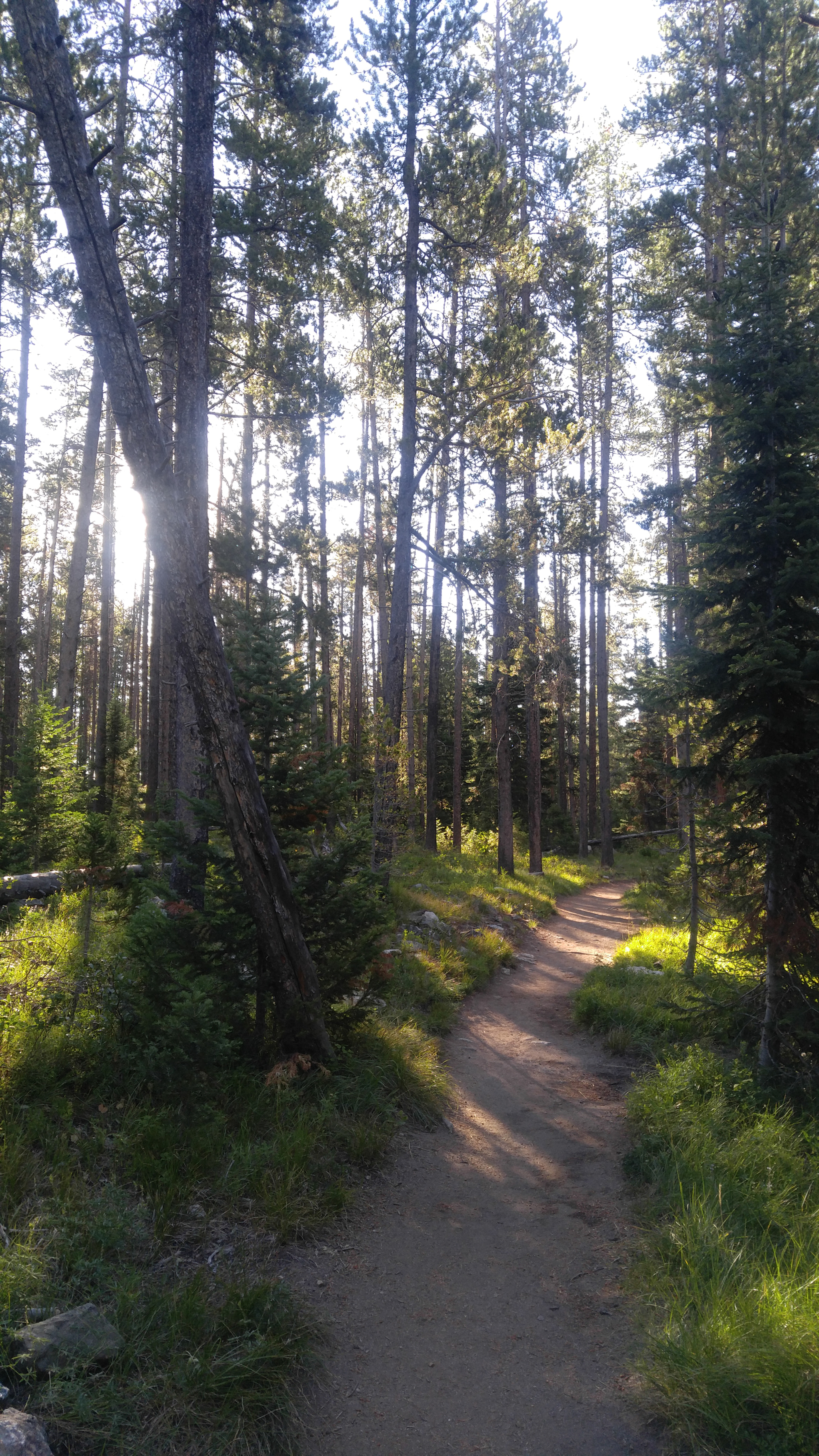 LG V10 sample photo. Grand tetons national park photography