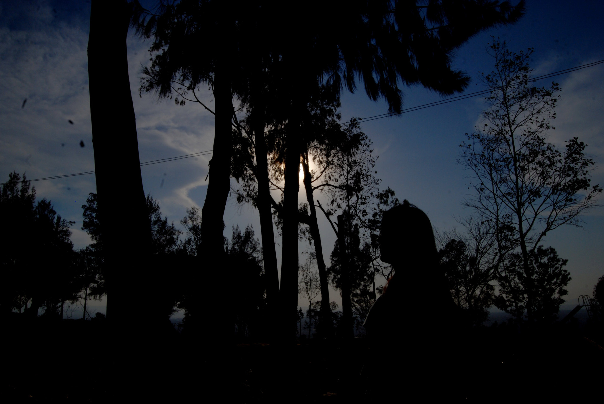 Nikon D40X sample photo. You can save me? photography