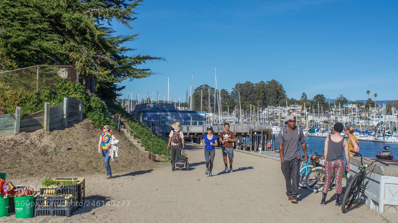 Nikon D7200 sample photo. Sunday at santa cruz photography