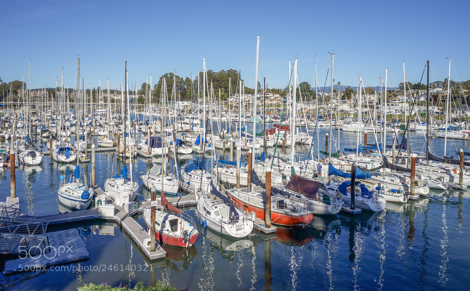 Sony a7 sample photo. Santa cruz harbor and photography