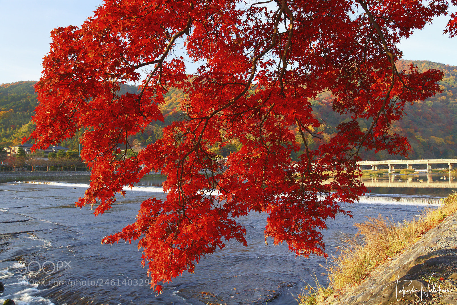 Canon EOS 5D sample photo. Togetsukyo bridge and autumn photography