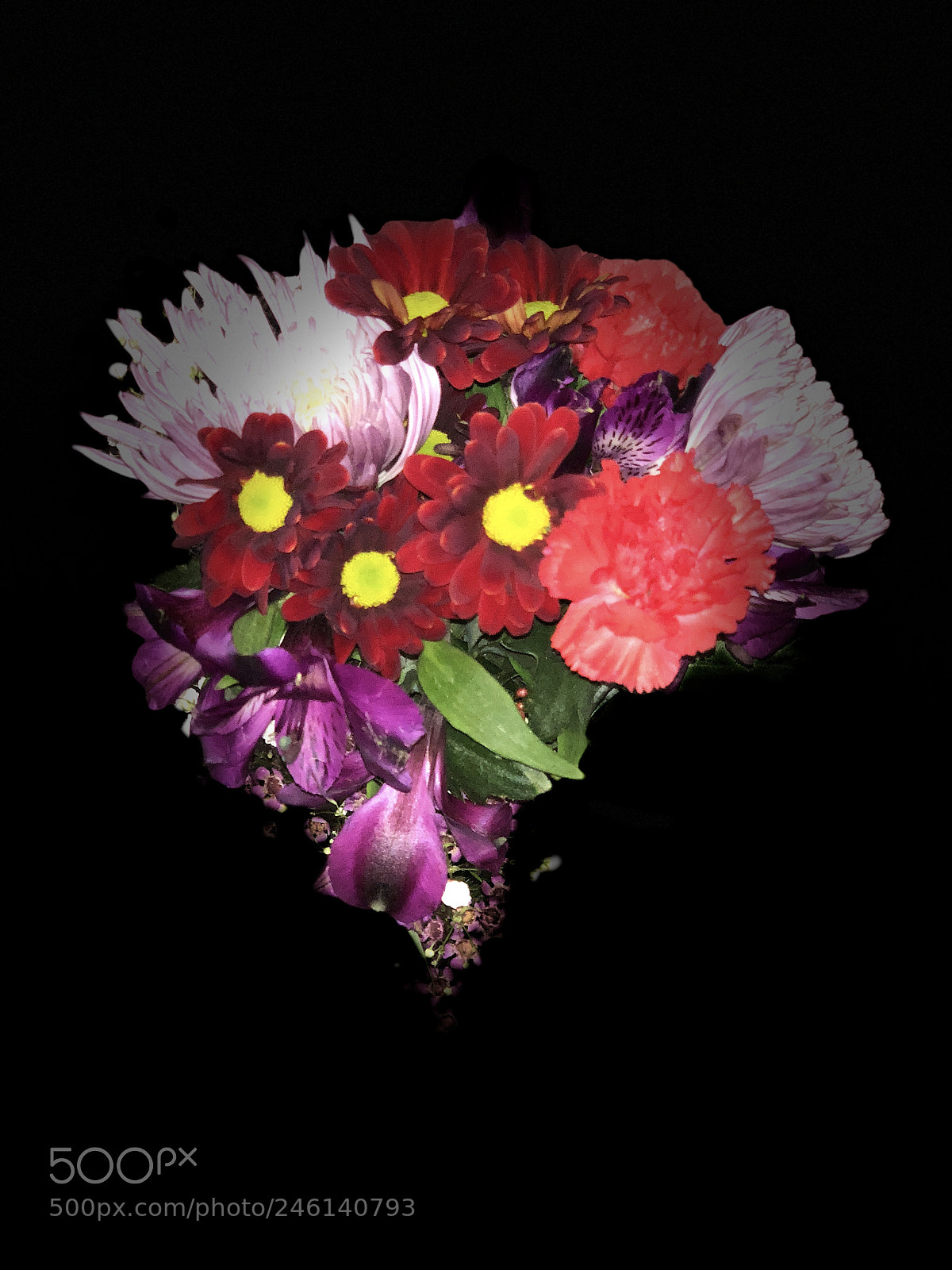 Apple iPhone X sample photo. I heart flowers photography