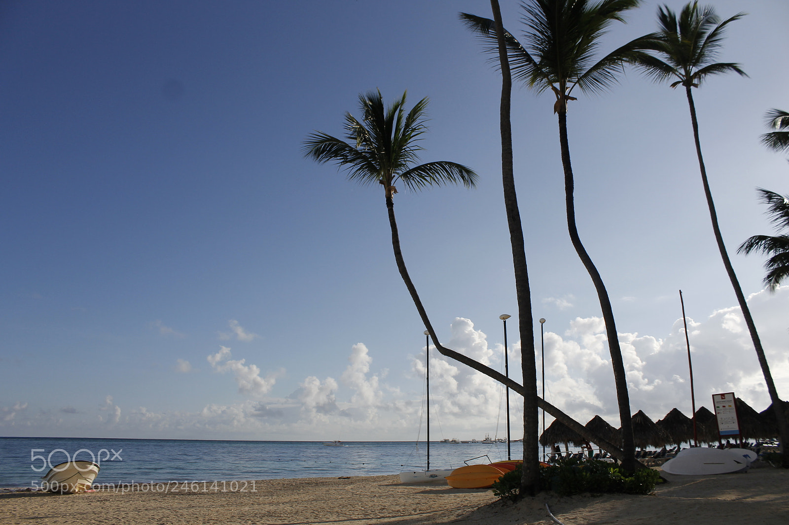 Canon EOS 1100D (EOS Rebel T3 / EOS Kiss X50) sample photo. Punta cana photography