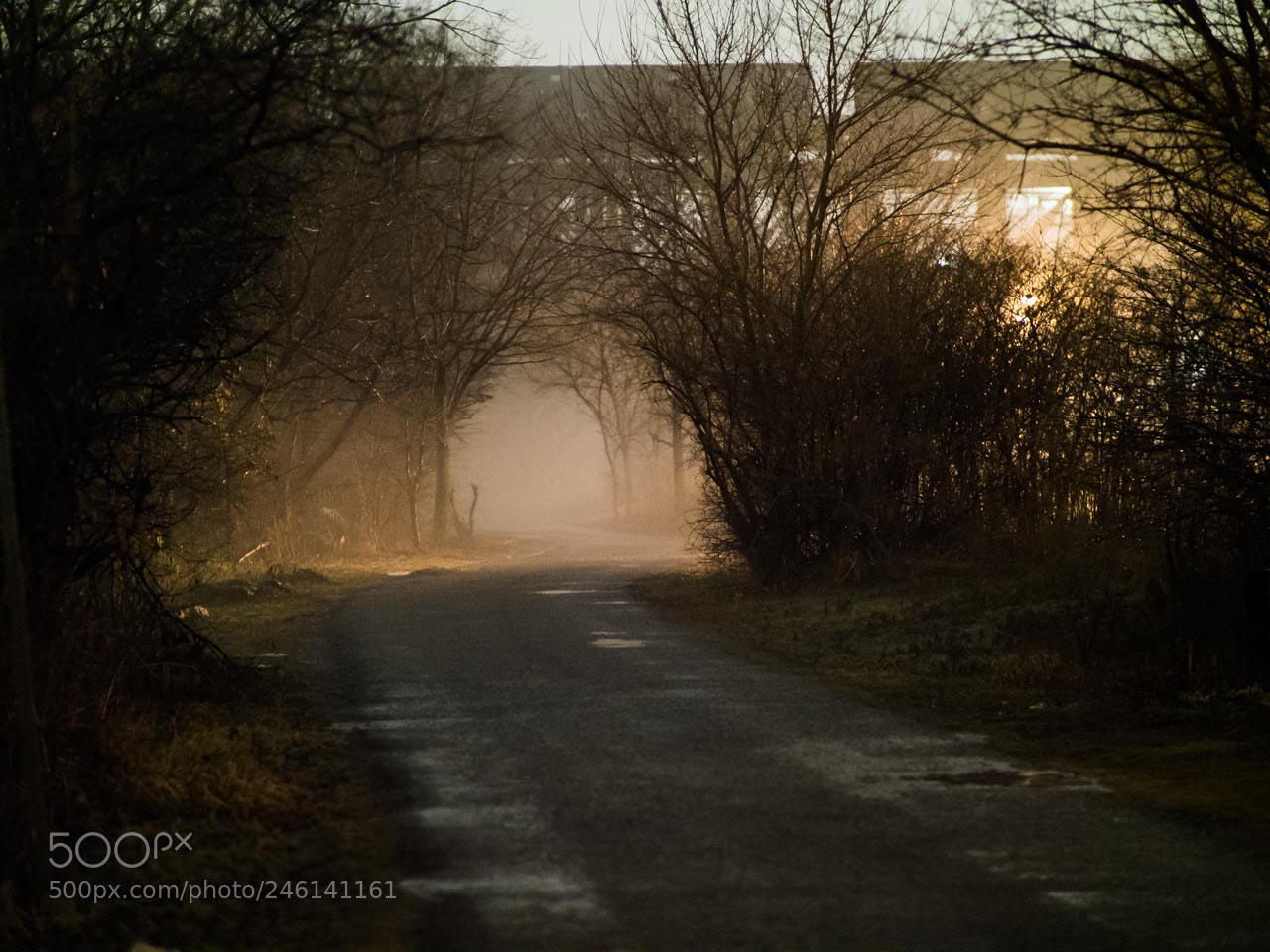 Olympus OM-D E-M1 Mark II sample photo. Trails photography