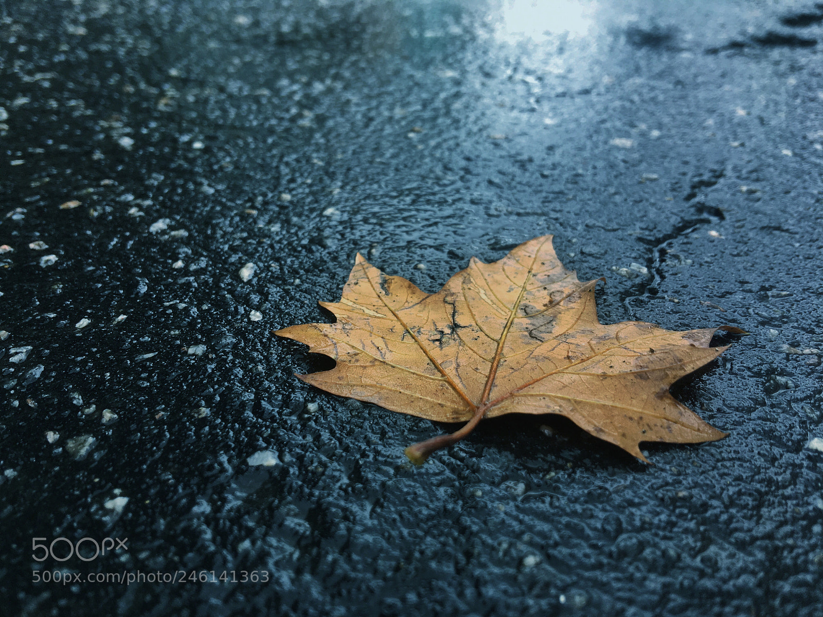 Apple iPhone 6s Plus sample photo. About the street floor... photography