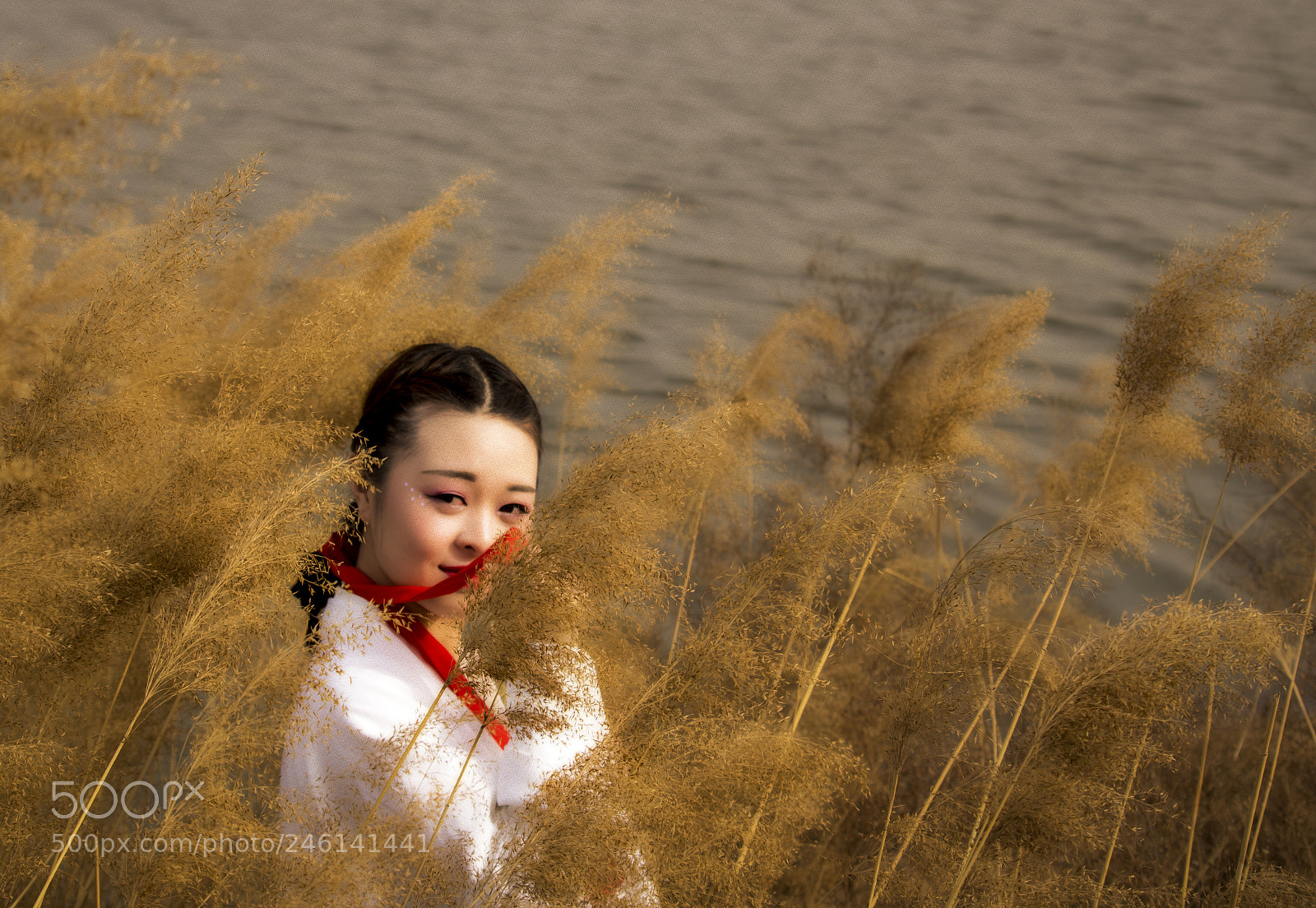 Canon EOS 750D (EOS Rebel T6i / EOS Kiss X8i) sample photo. 楚辞·九歌 photography