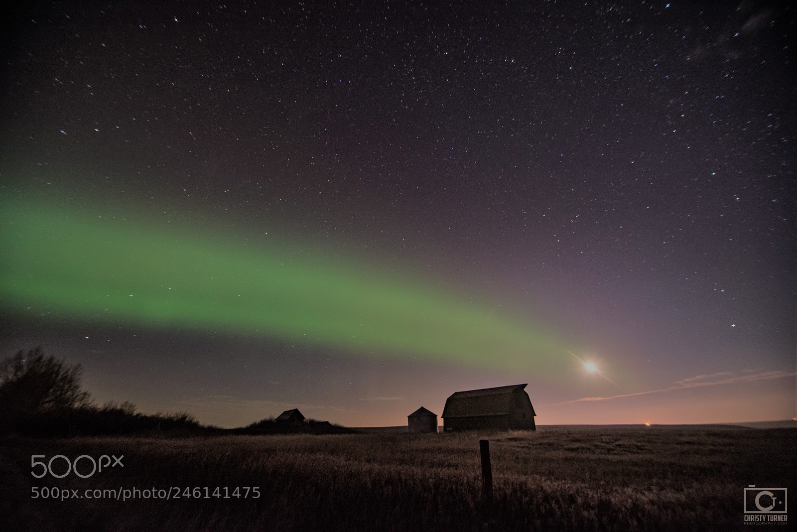 Nikon D810 sample photo. Interstellar aurora photography