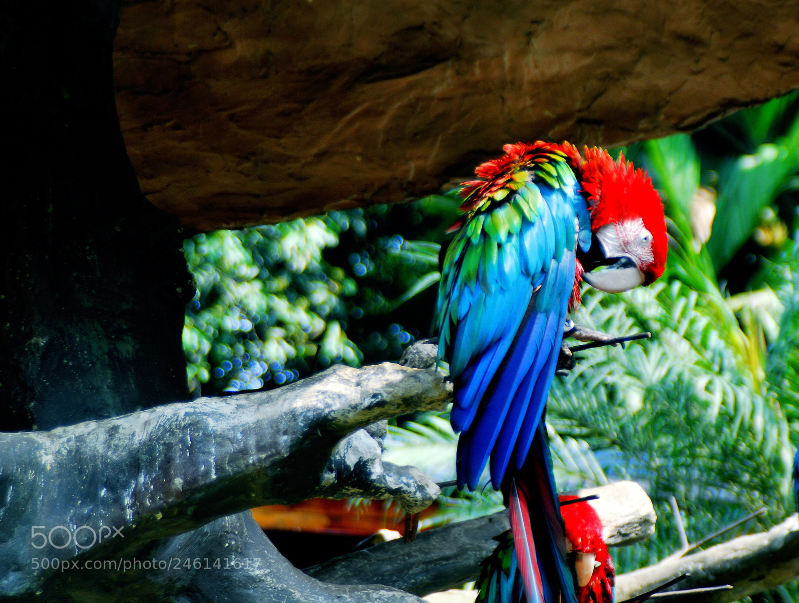 Nikon D200 sample photo. Have a nice day photography