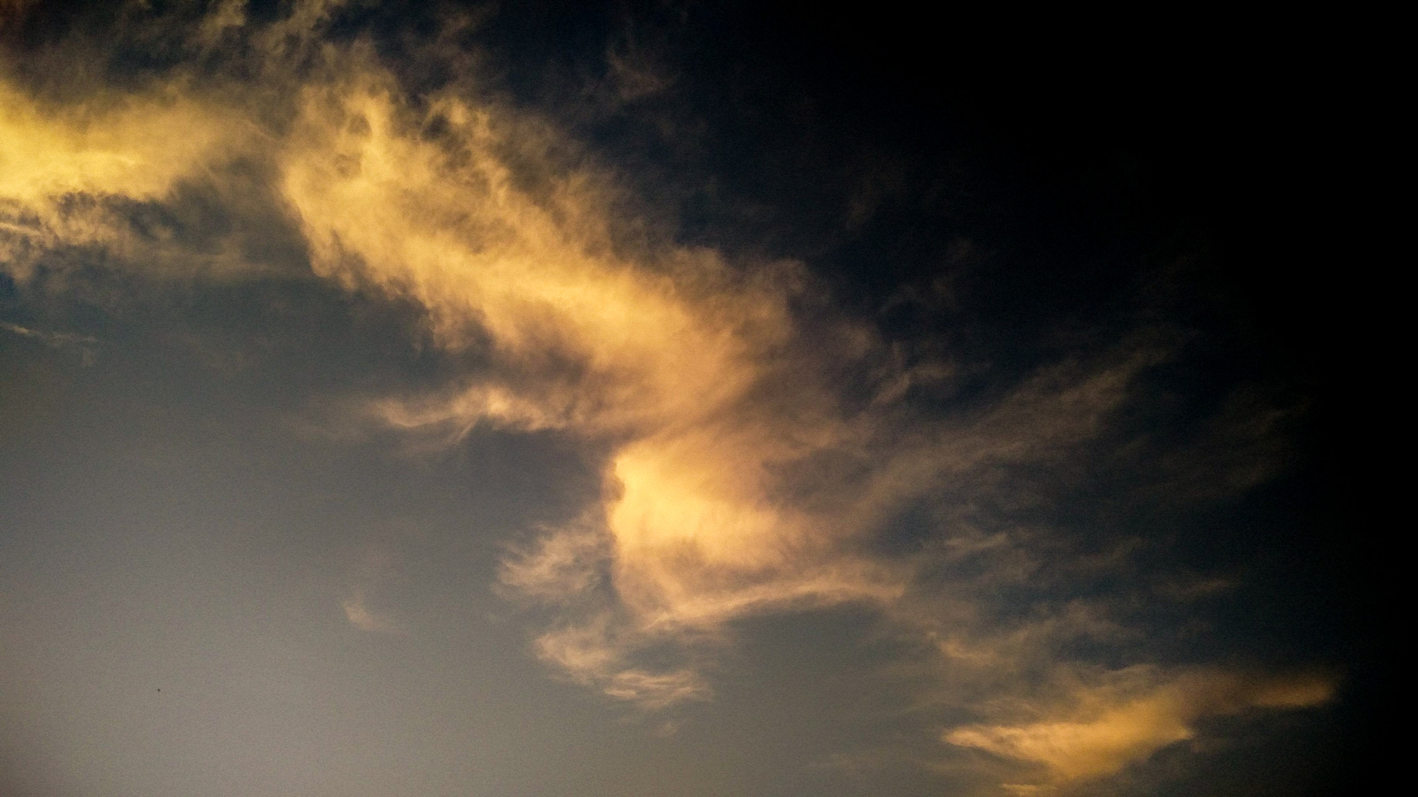 OnePlus 2 sample photo. Morning... photography