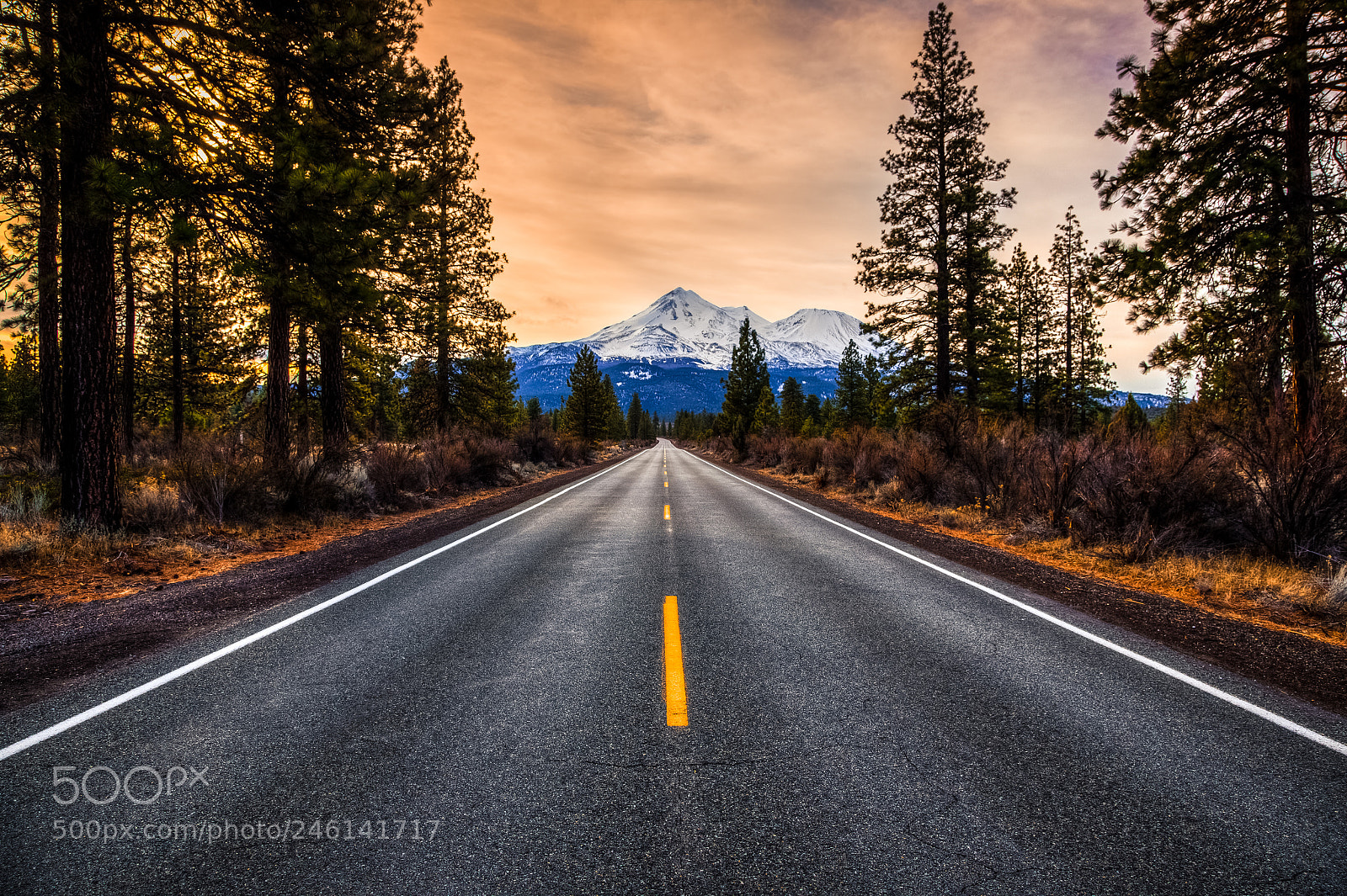 Canon EOS 6D sample photo. Road to mt. shasta photography