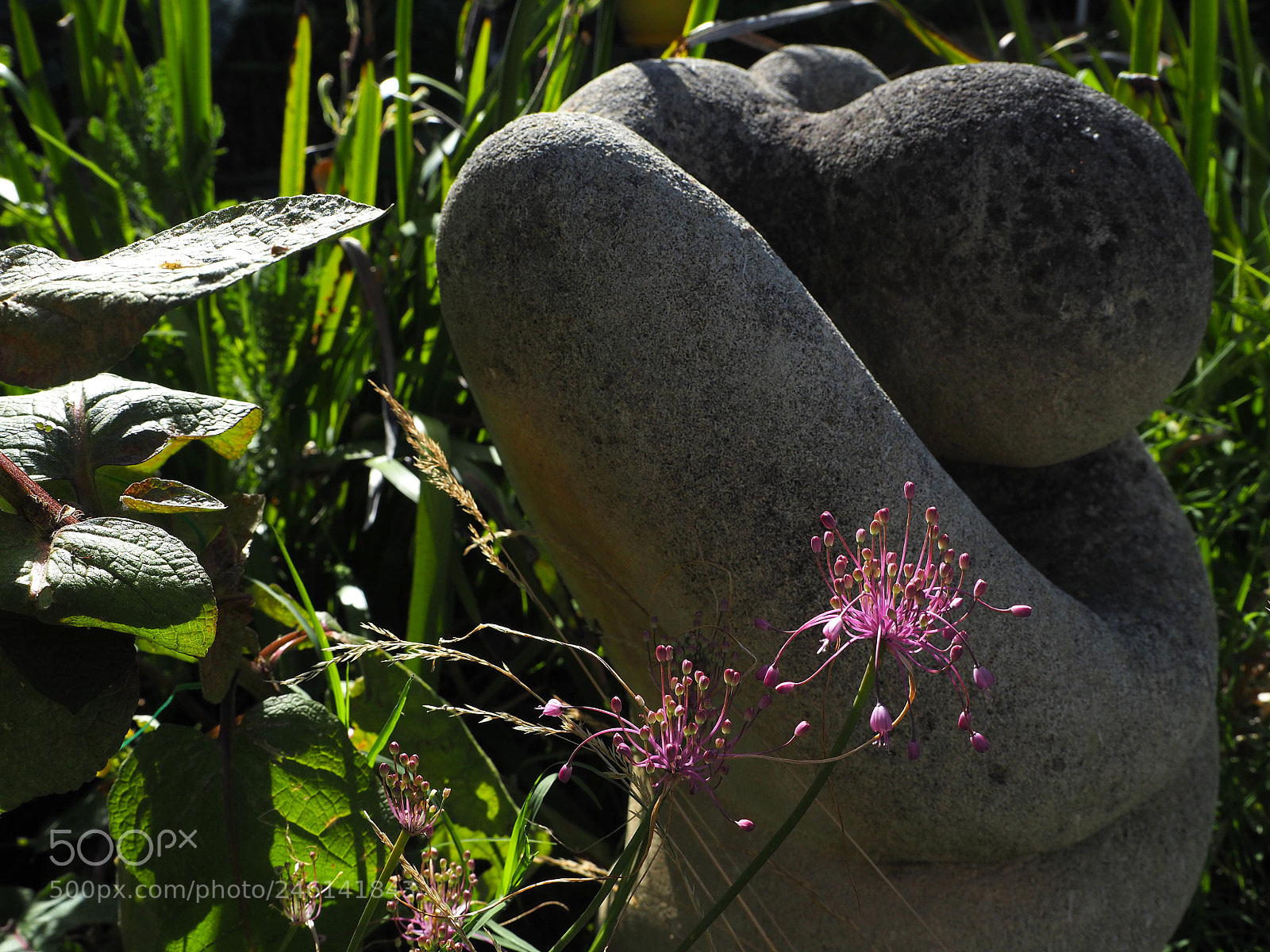 Olympus OM-D E-M5 II sample photo. Desolation and beauty. they photography