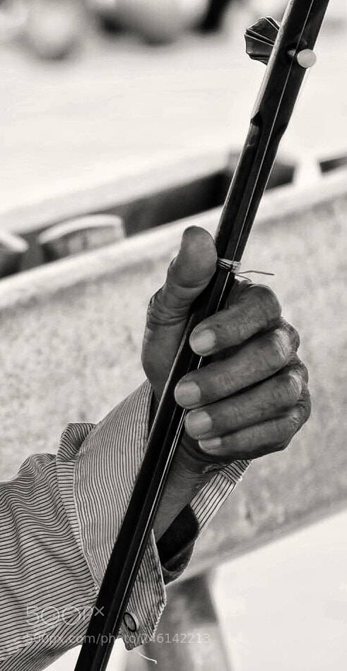 Olympus OM-D E-M10 II sample photo. Hand of a musician photography