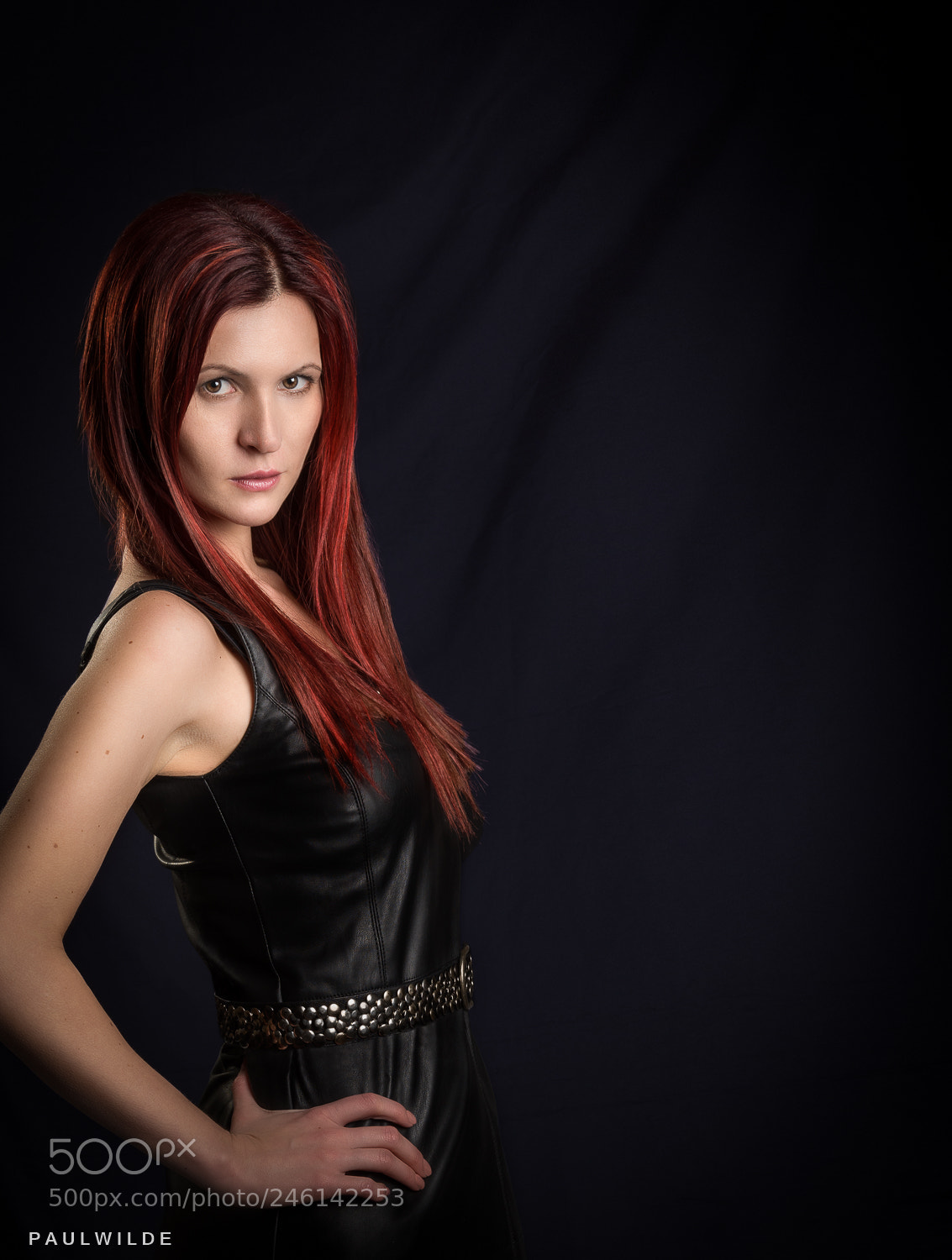Nikon D810 sample photo. Black leather photography