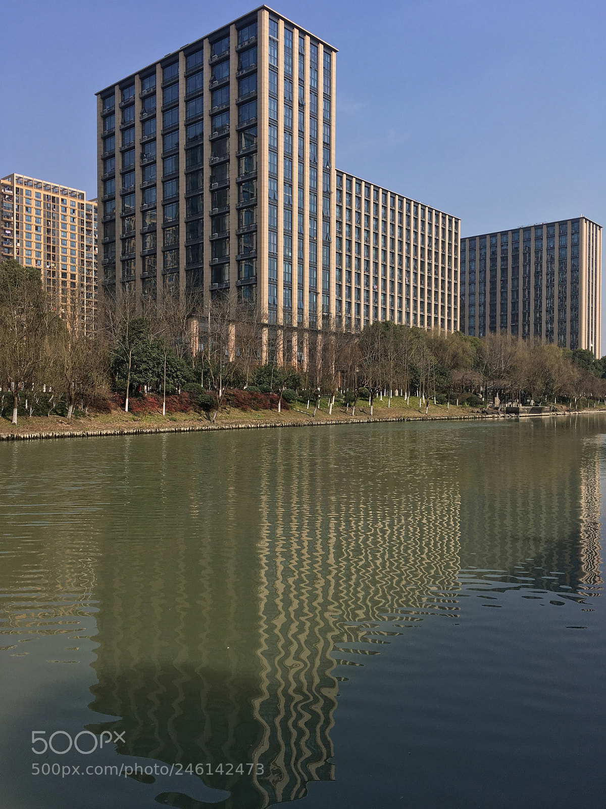 Apple iPhone SE sample photo. 21.jpg photography
