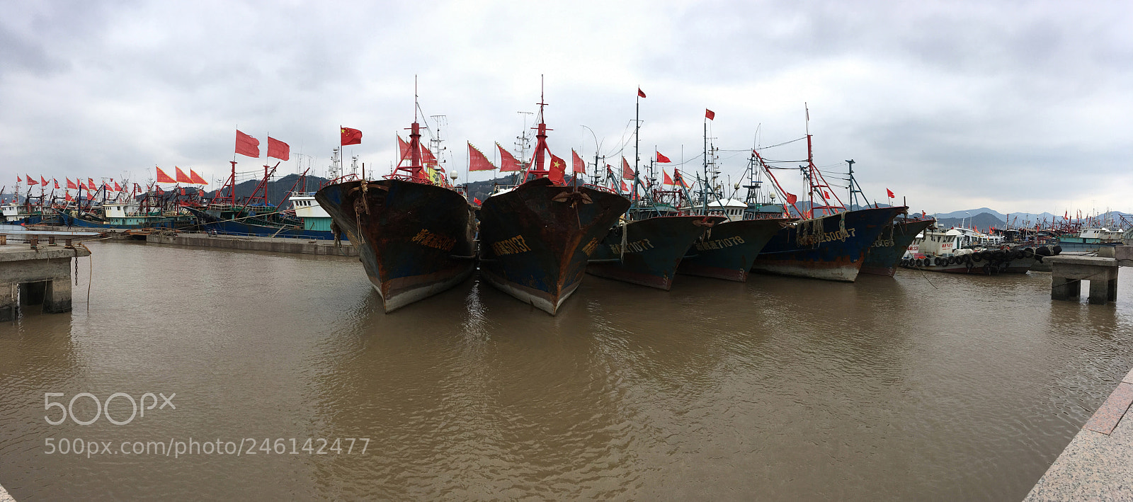 Apple iPhone SE sample photo. 23.jpg photography