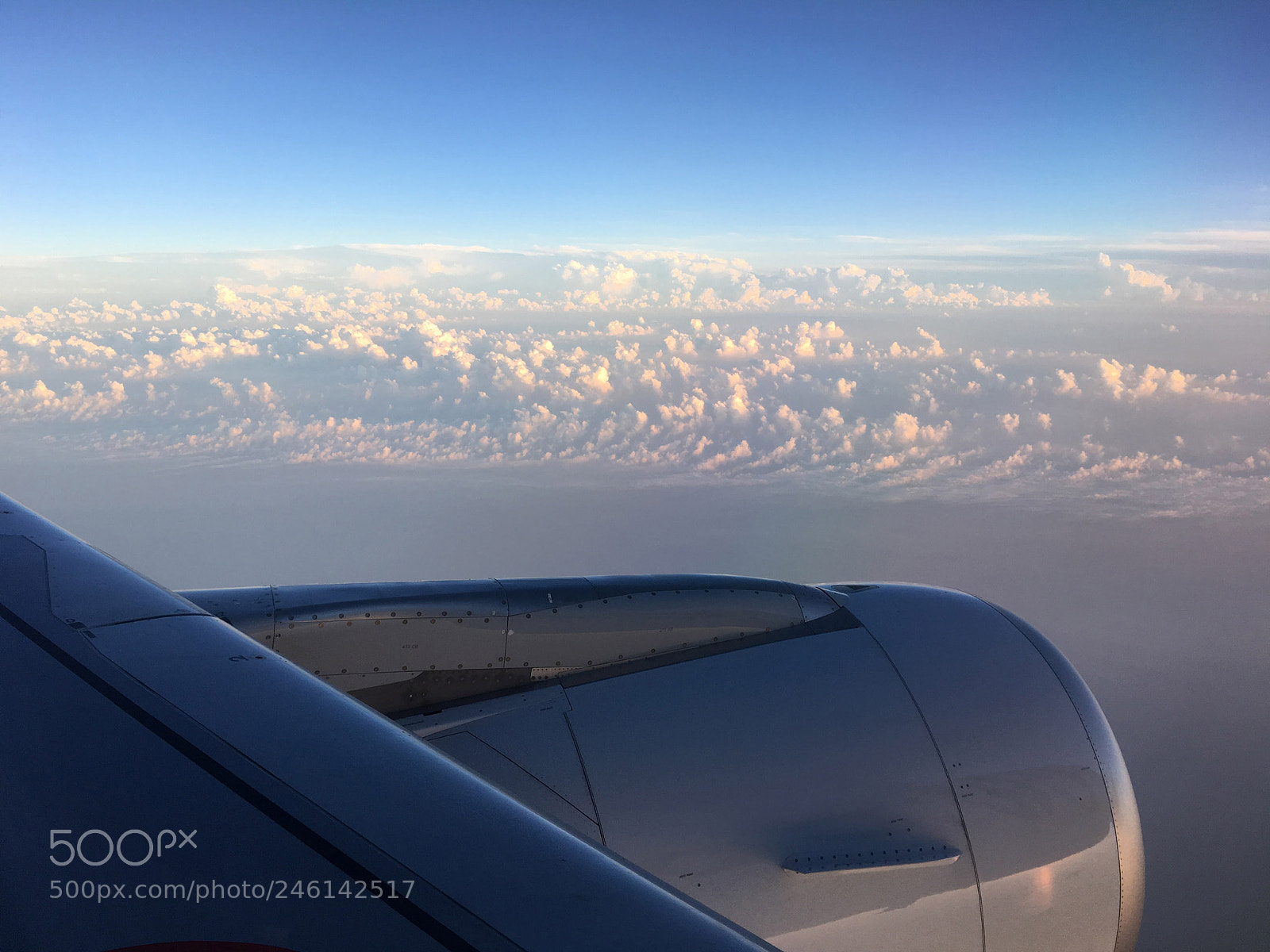 Apple iPhone 6s sample photo. 29.jpg photography