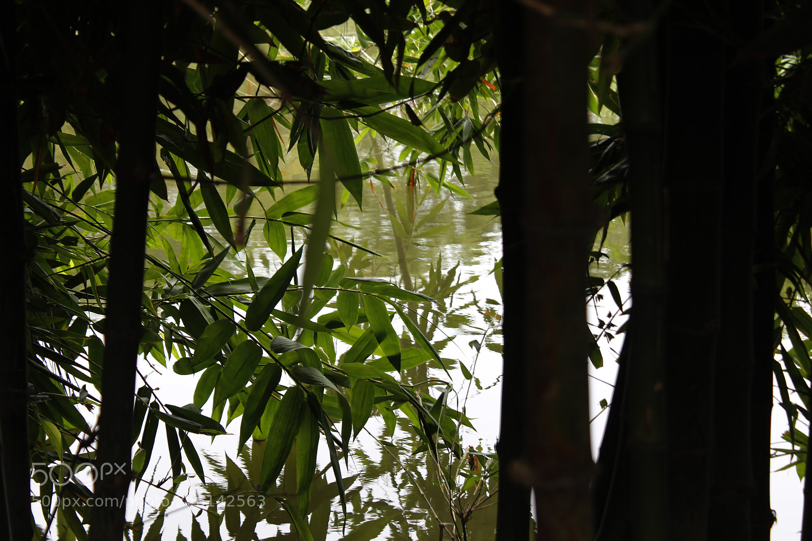 Canon EOS 600D (Rebel EOS T3i / EOS Kiss X5) sample photo. Beauty of nature photography