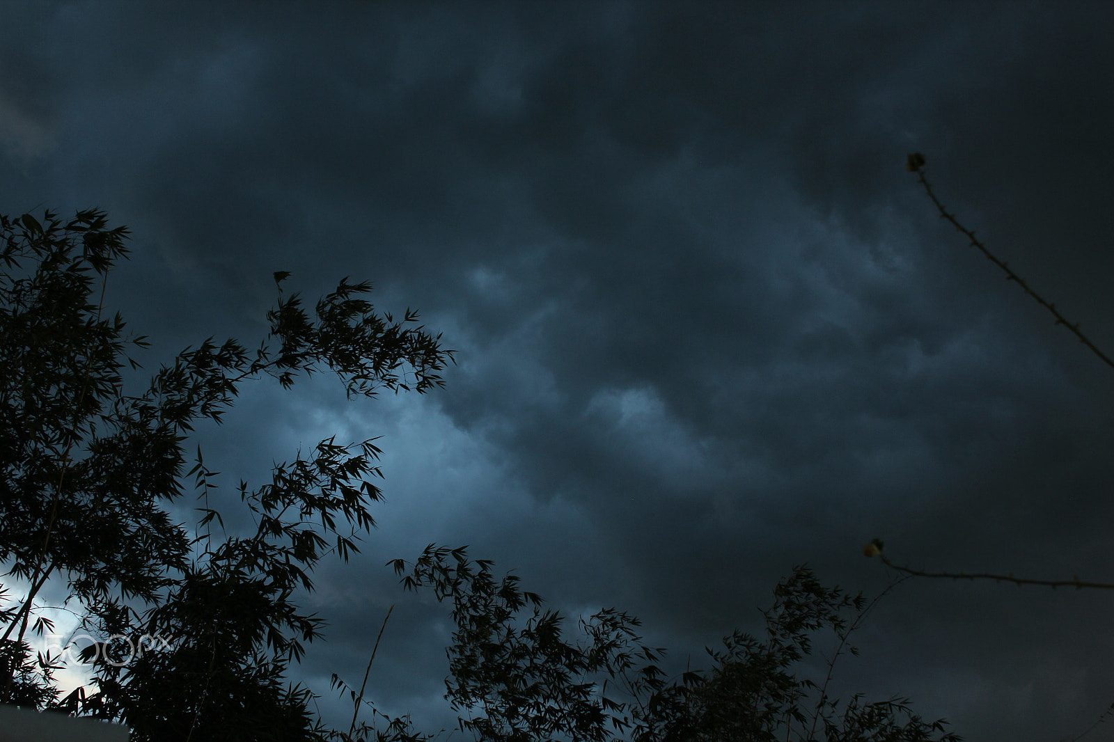 Canon EF-S 18-55mm F3.5-5.6 IS sample photo. Beauty of nature photography