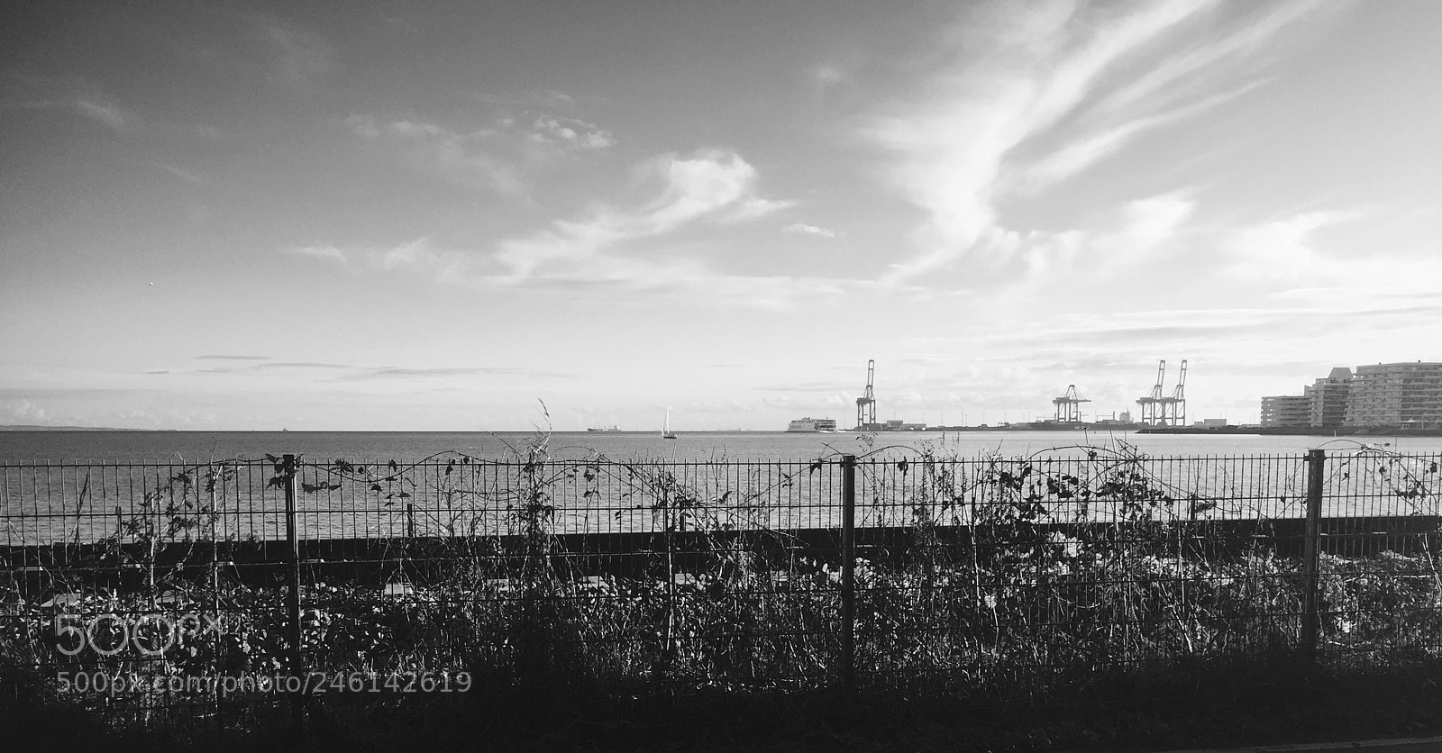 Apple iPhone 6 sample photo. By the sea photography
