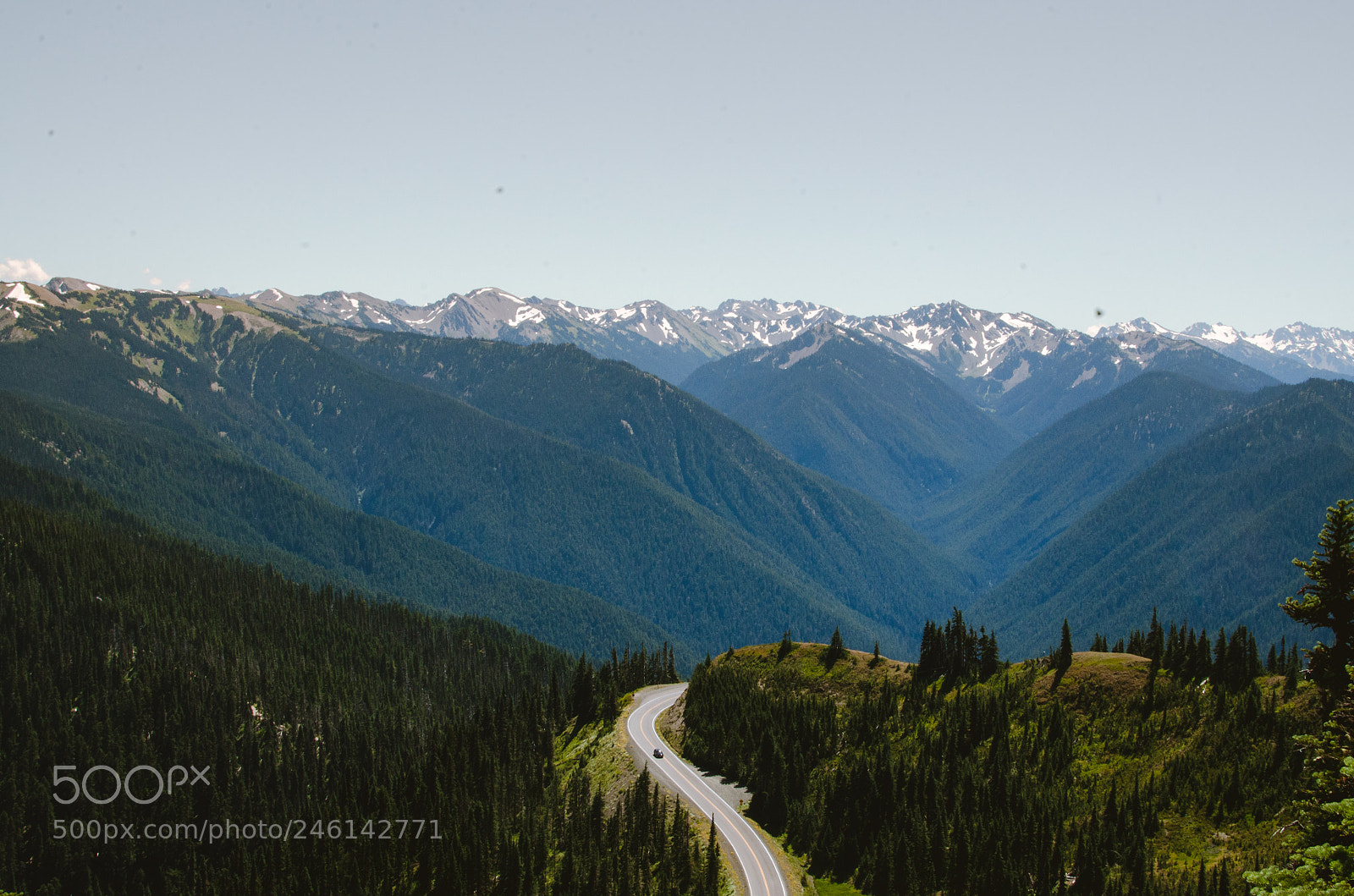 Nikon D7000 sample photo. Overlook in olympic national photography