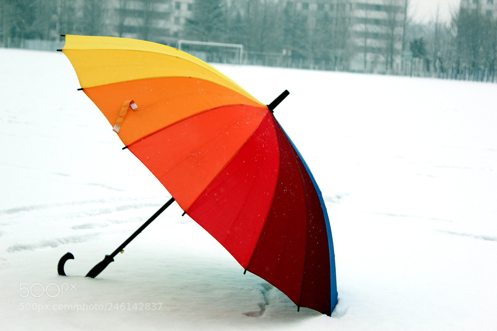 Canon EOS 600D (Rebel EOS T3i / EOS Kiss X5) sample photo. Beauty of nature photography